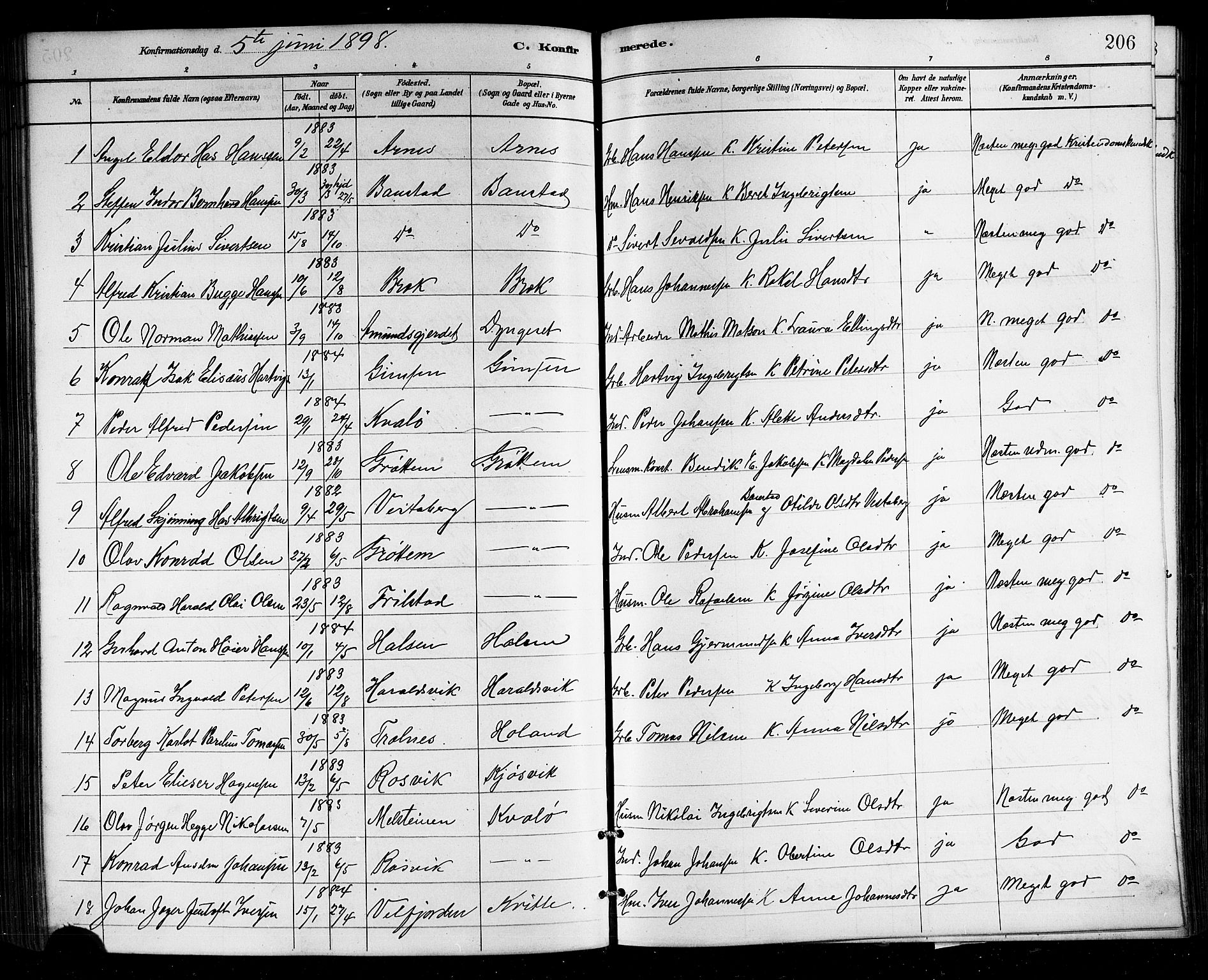 Ministerialprotokoller, klokkerbøker og fødselsregistre - Nordland, AV/SAT-A-1459/812/L0188: Klokkerbok nr. 812C06, 1884-1912, s. 206