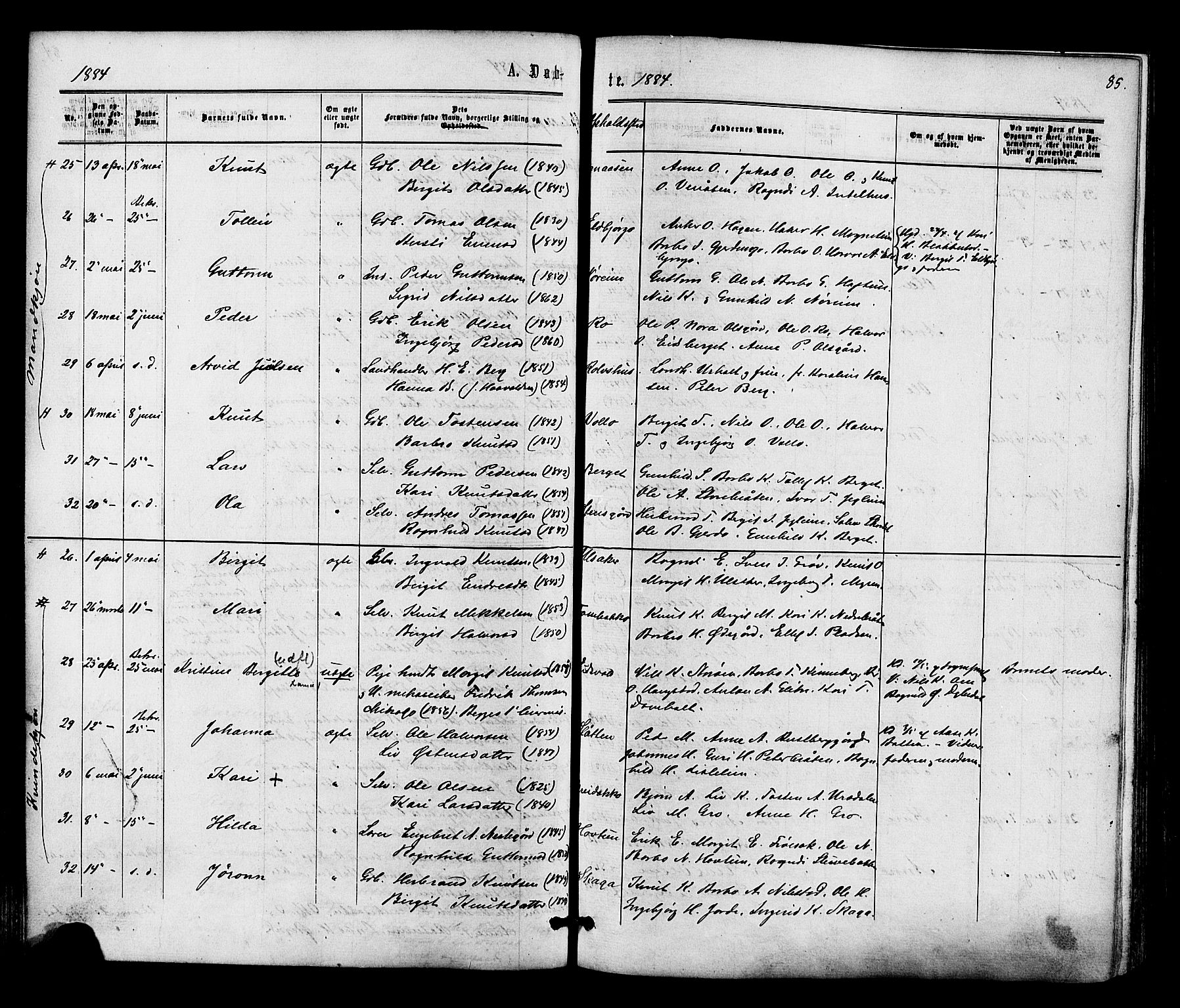 Gol kirkebøker, AV/SAKO-A-226/F/Fa/L0004: Ministerialbok nr. I 4, 1876-1886, s. 85