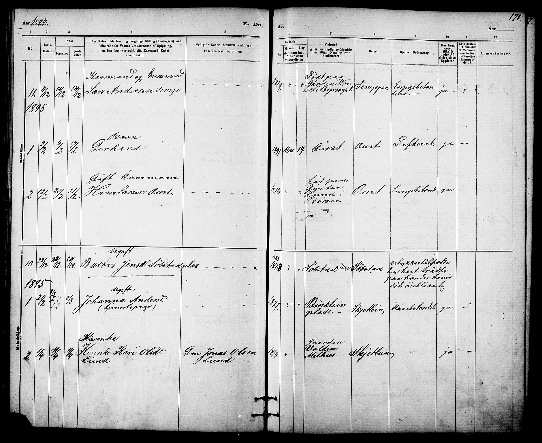 Ministerialprotokoller, klokkerbøker og fødselsregistre - Sør-Trøndelag, AV/SAT-A-1456/613/L0395: Klokkerbok nr. 613C03, 1887-1909, s. 171