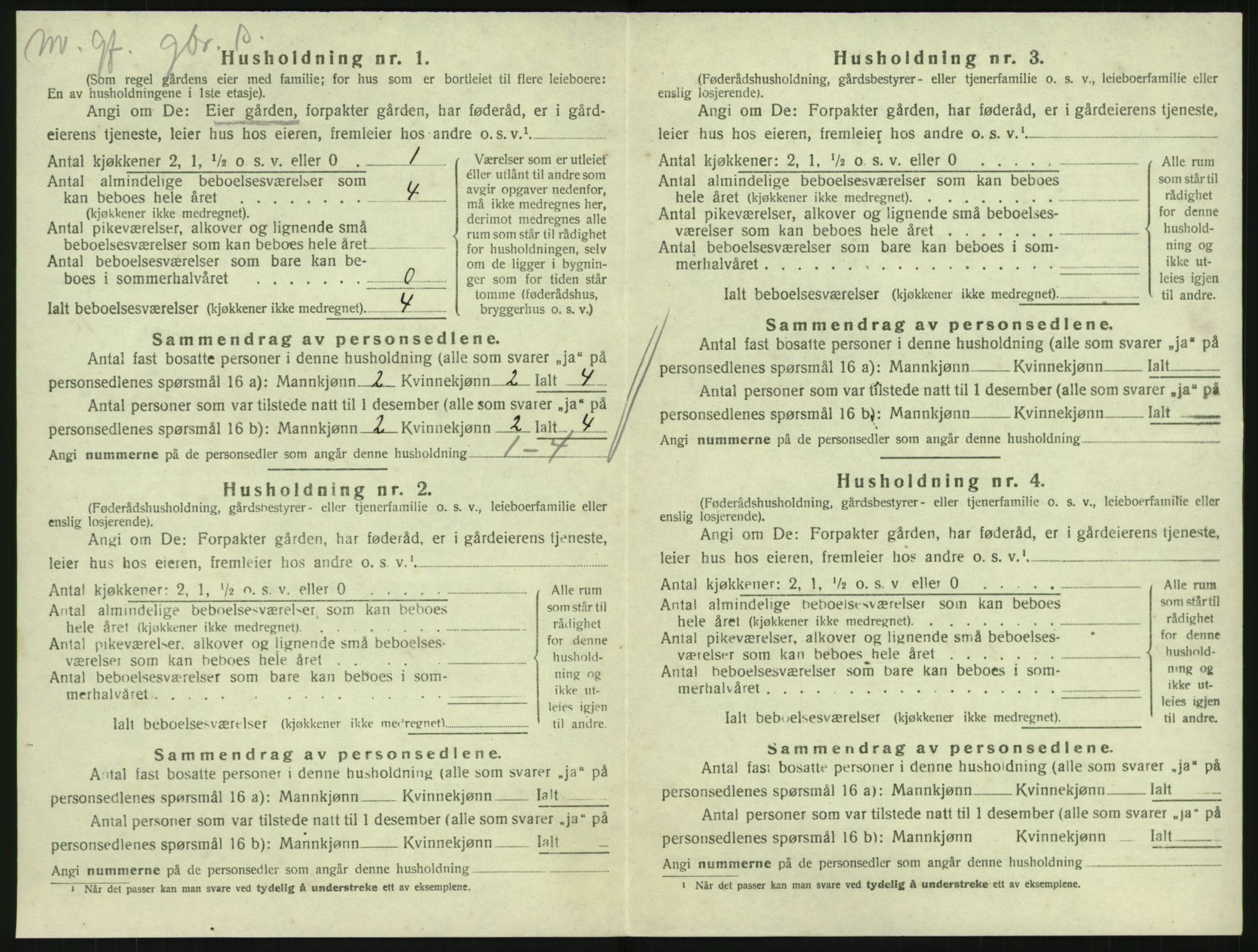 SAKO, Folketelling 1920 for 0727 Hedrum herred, 1920, s. 984