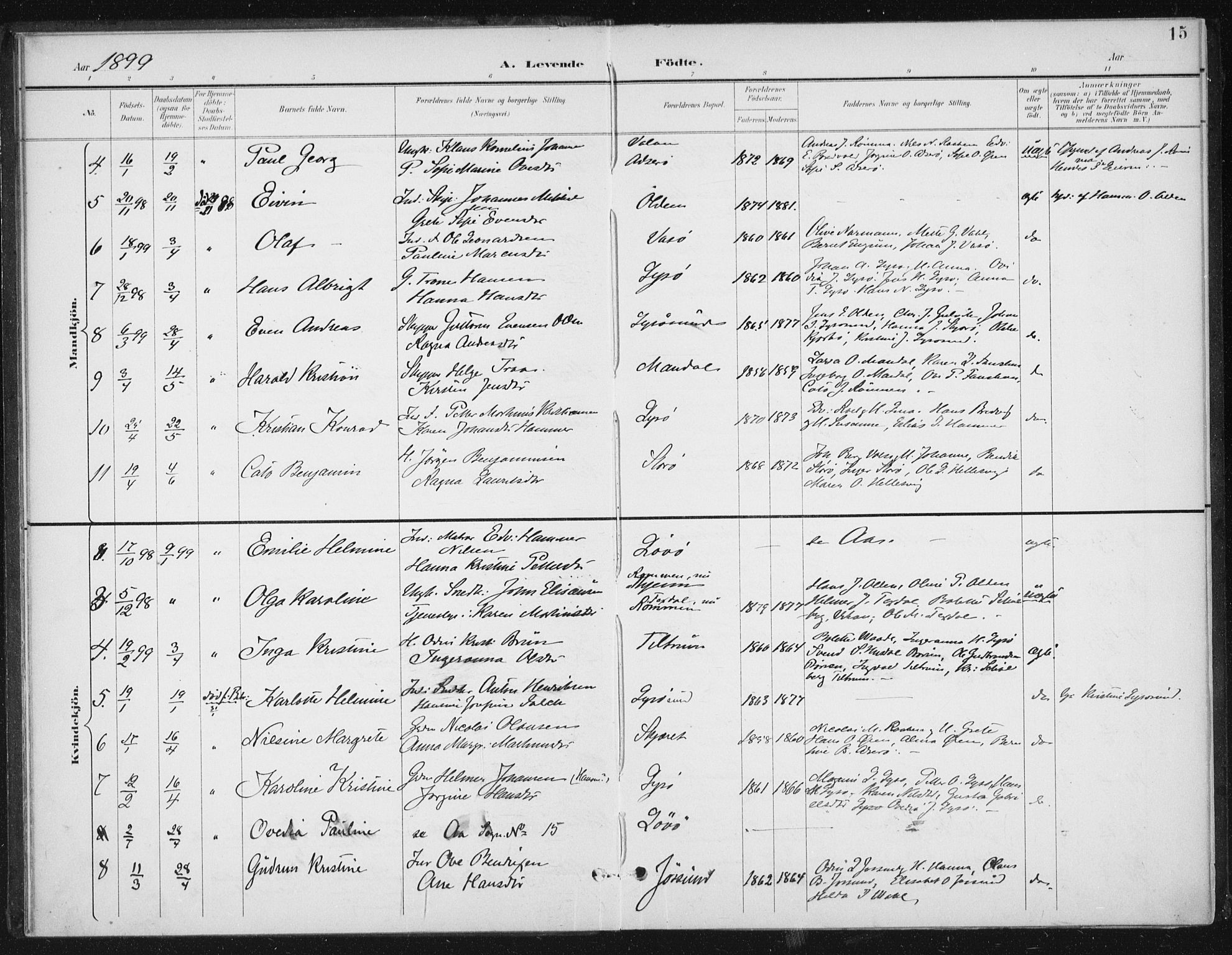 Ministerialprotokoller, klokkerbøker og fødselsregistre - Sør-Trøndelag, AV/SAT-A-1456/654/L0664: Ministerialbok nr. 654A02, 1895-1907, s. 15
