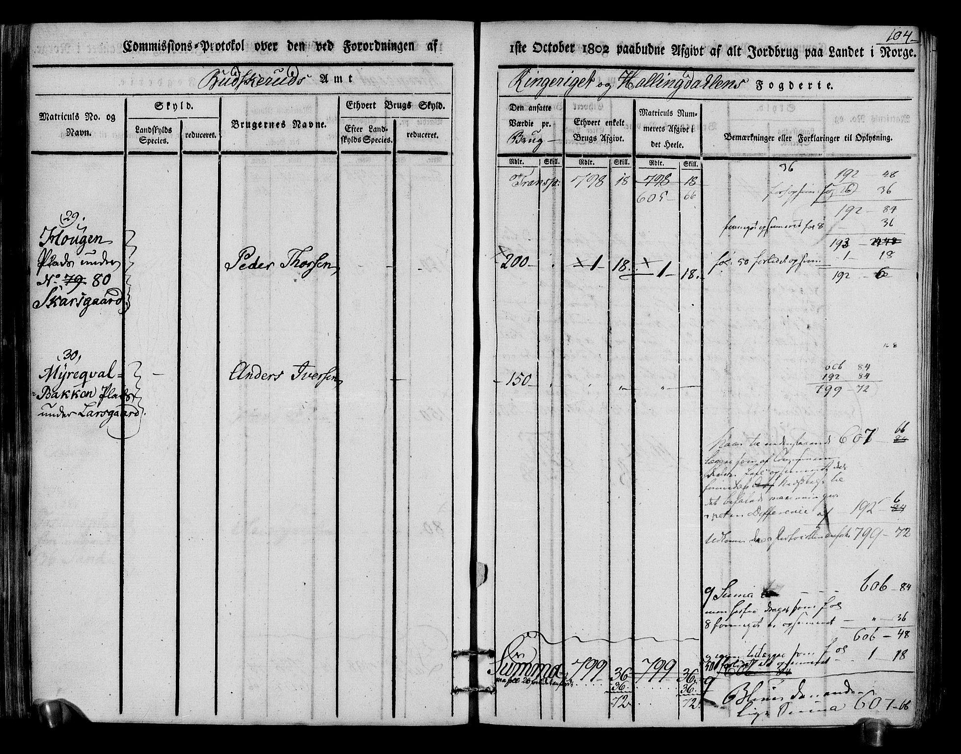 Rentekammeret inntil 1814, Realistisk ordnet avdeling, RA/EA-4070/N/Ne/Nea/L0048: Ringerike og Hallingdal fogderi. Kommisjonsprotokoll for Ål prestegjeld, 1803, s. 108