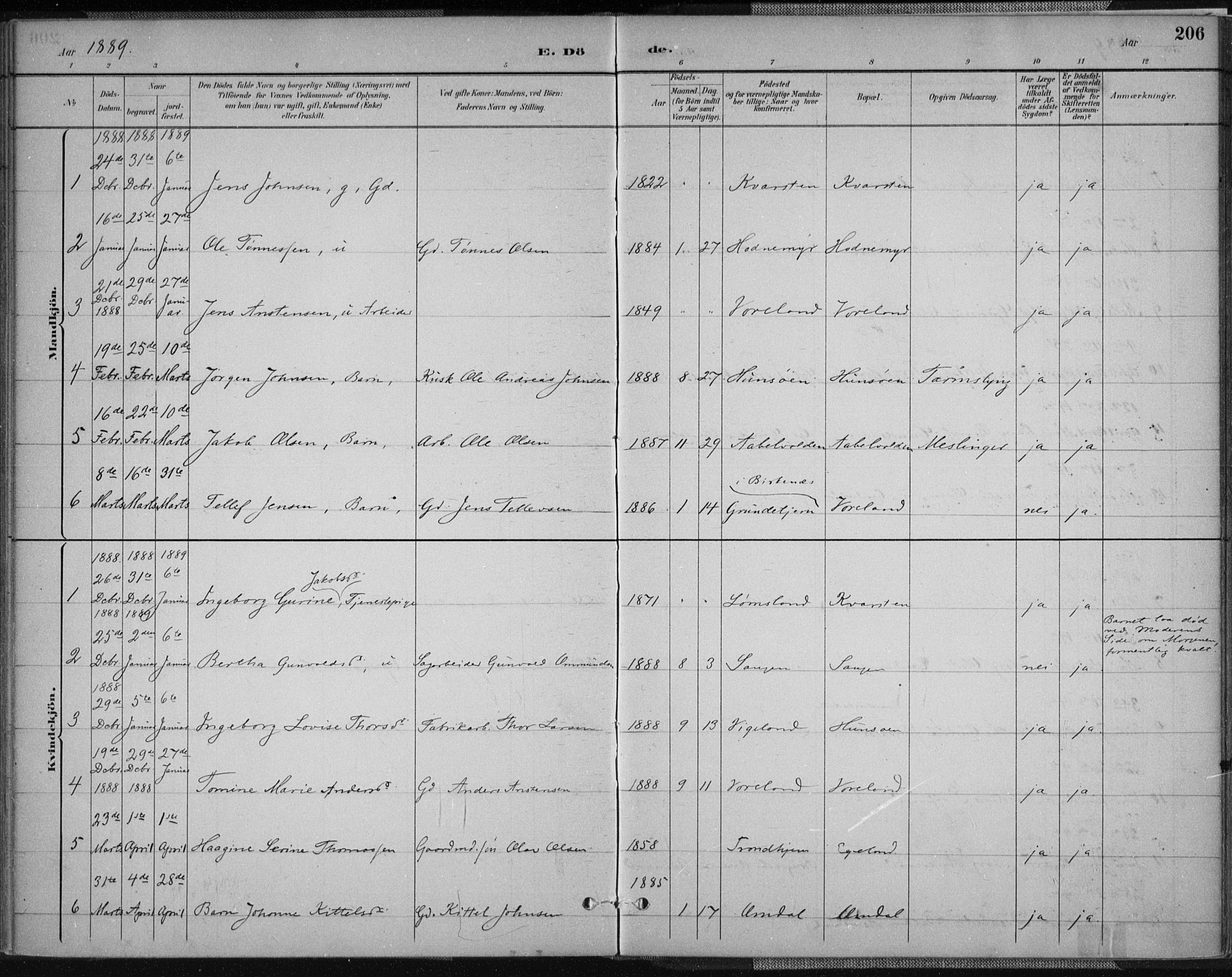 Vennesla sokneprestkontor, SAK/1111-0045/Fa/Fab/L0004: Ministerialbok nr. A 4, 1884-1896, s. 206