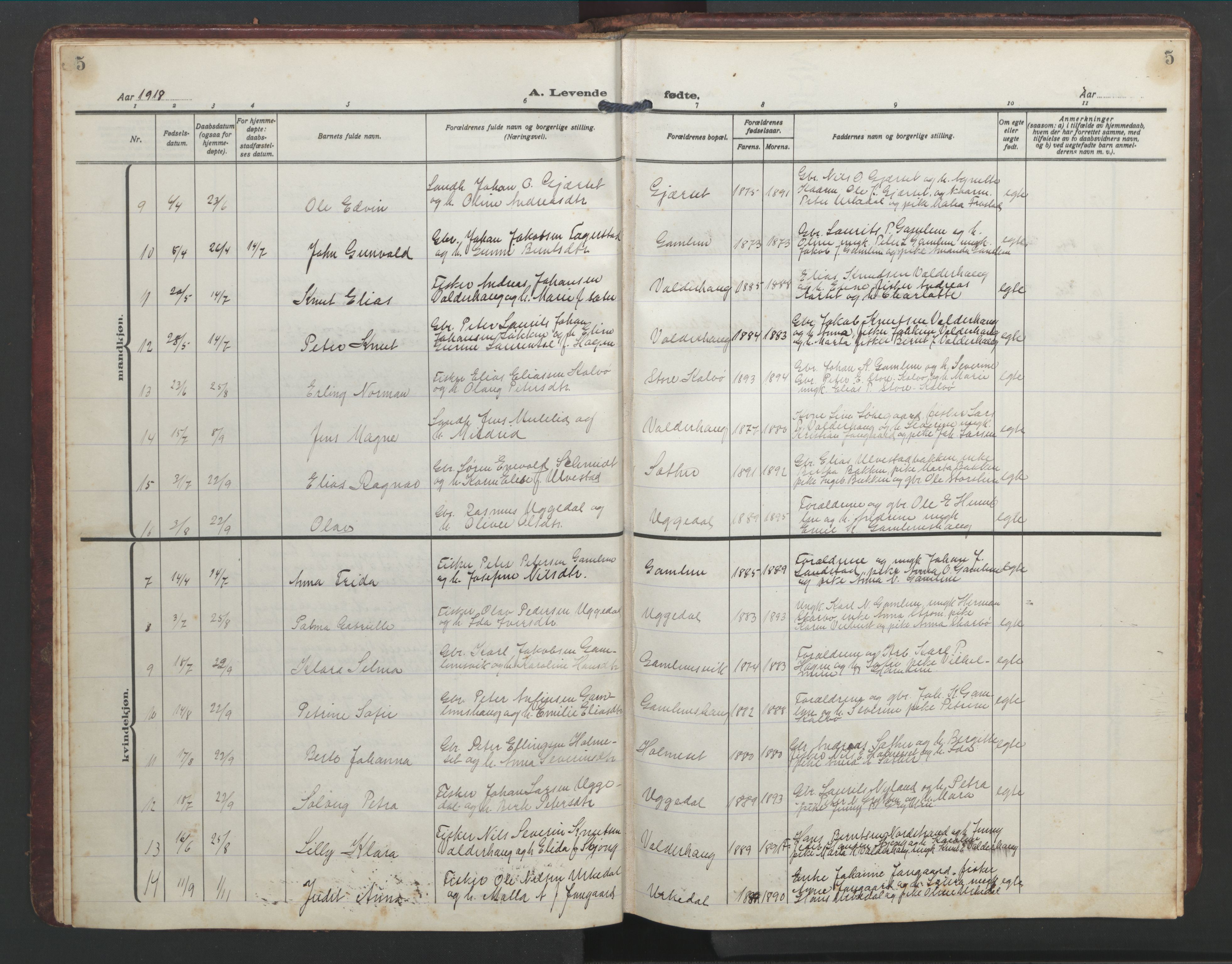 Ministerialprotokoller, klokkerbøker og fødselsregistre - Møre og Romsdal, AV/SAT-A-1454/526/L0384: Klokkerbok nr. 526C01, 1917-1952, s. 5