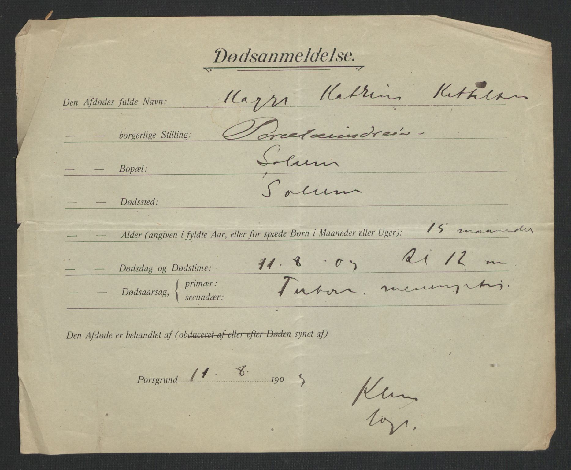 Solum lensmannskontor, AV/SAKO-A-575/H/Ha/L0002: Dødsanmeldelsesprotokoll, 1909-1916