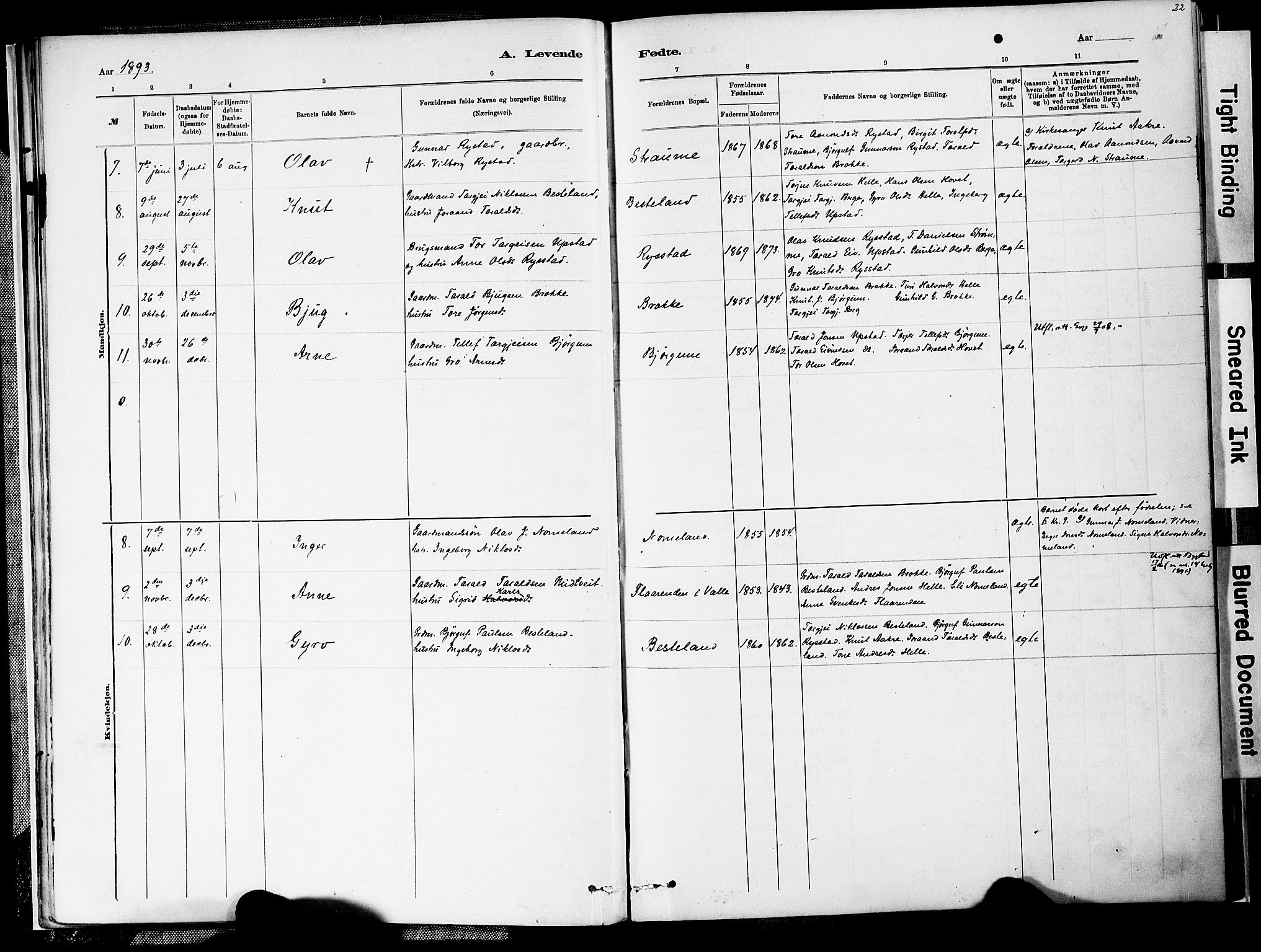 Valle sokneprestkontor, AV/SAK-1111-0044/F/Fa/Fab/L0001: Ministerialbok nr. A 1, 1882-1910, s. 22