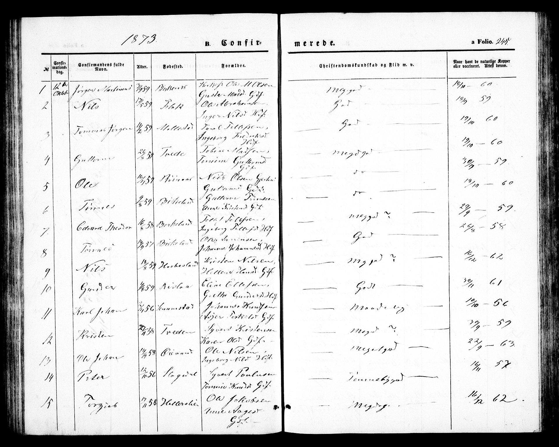 Birkenes sokneprestkontor, SAK/1111-0004/F/Fb/L0002: Klokkerbok nr. B 2, 1849-1876, s. 245