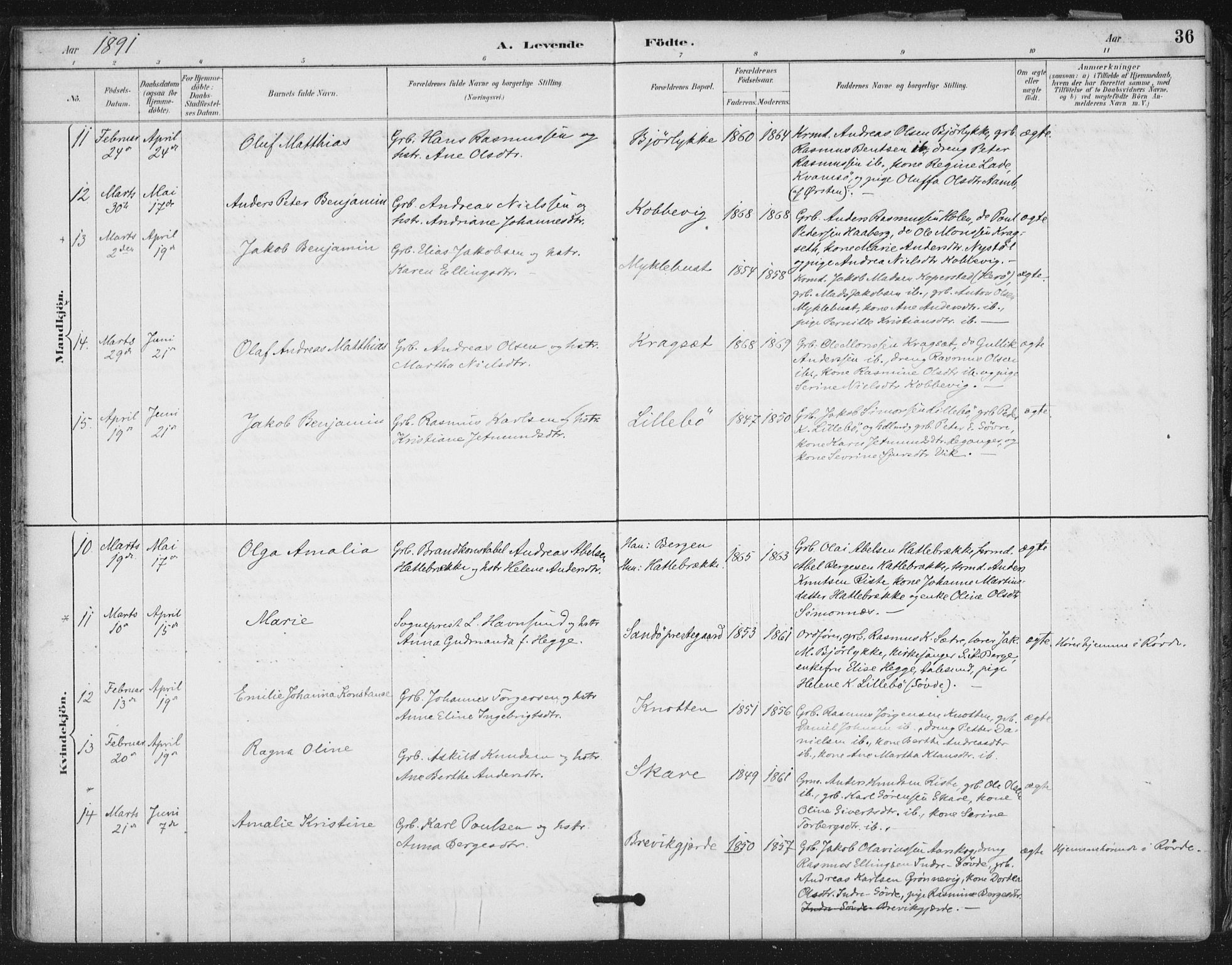 Ministerialprotokoller, klokkerbøker og fødselsregistre - Møre og Romsdal, SAT/A-1454/503/L0037: Ministerialbok nr. 503A05, 1884-1900, s. 36