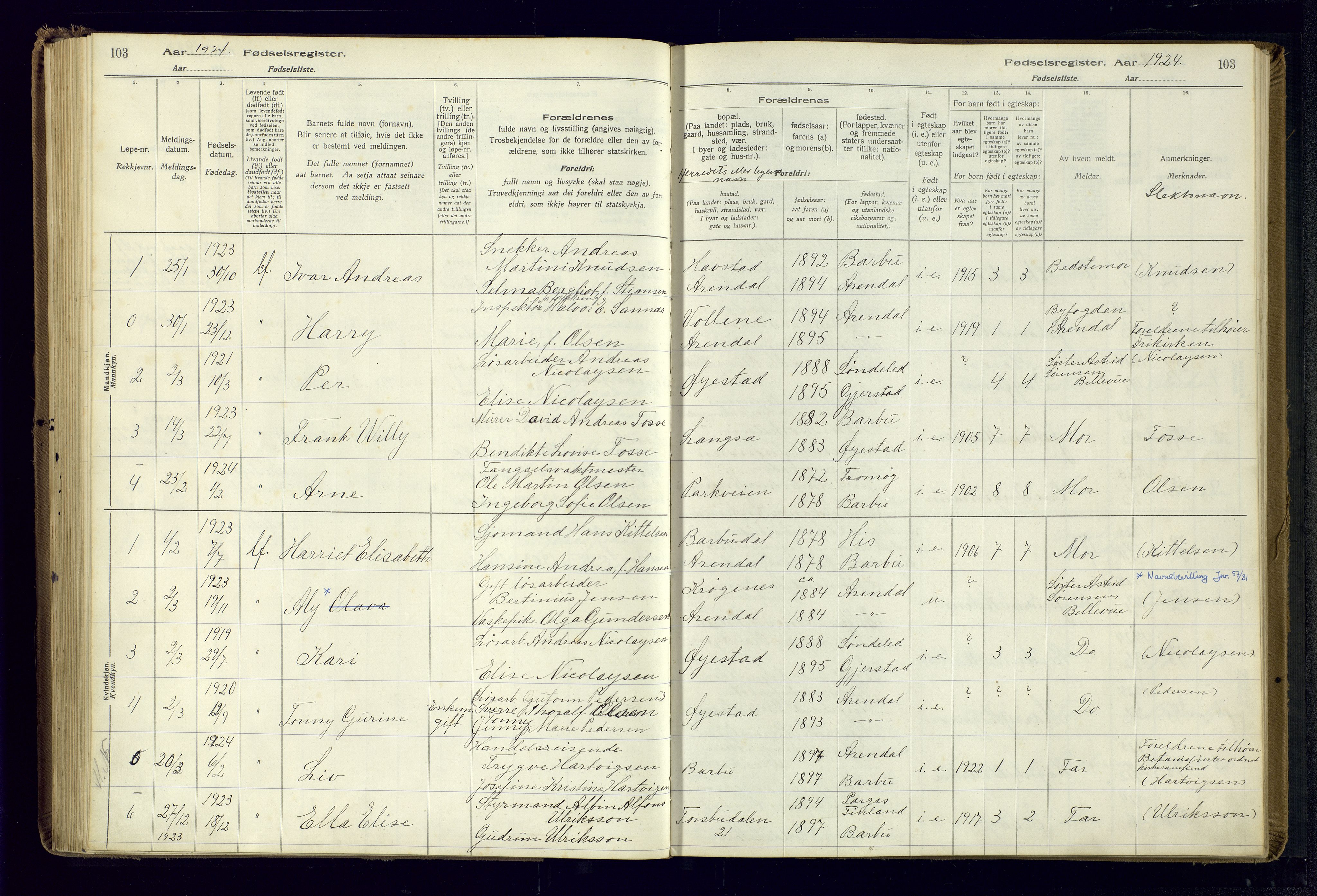 Barbu sokneprestkontor, SAK/1111-0003/J/Ja/L0001: Fødselsregister nr. A-VIII-1, 1916-1937, s. 103