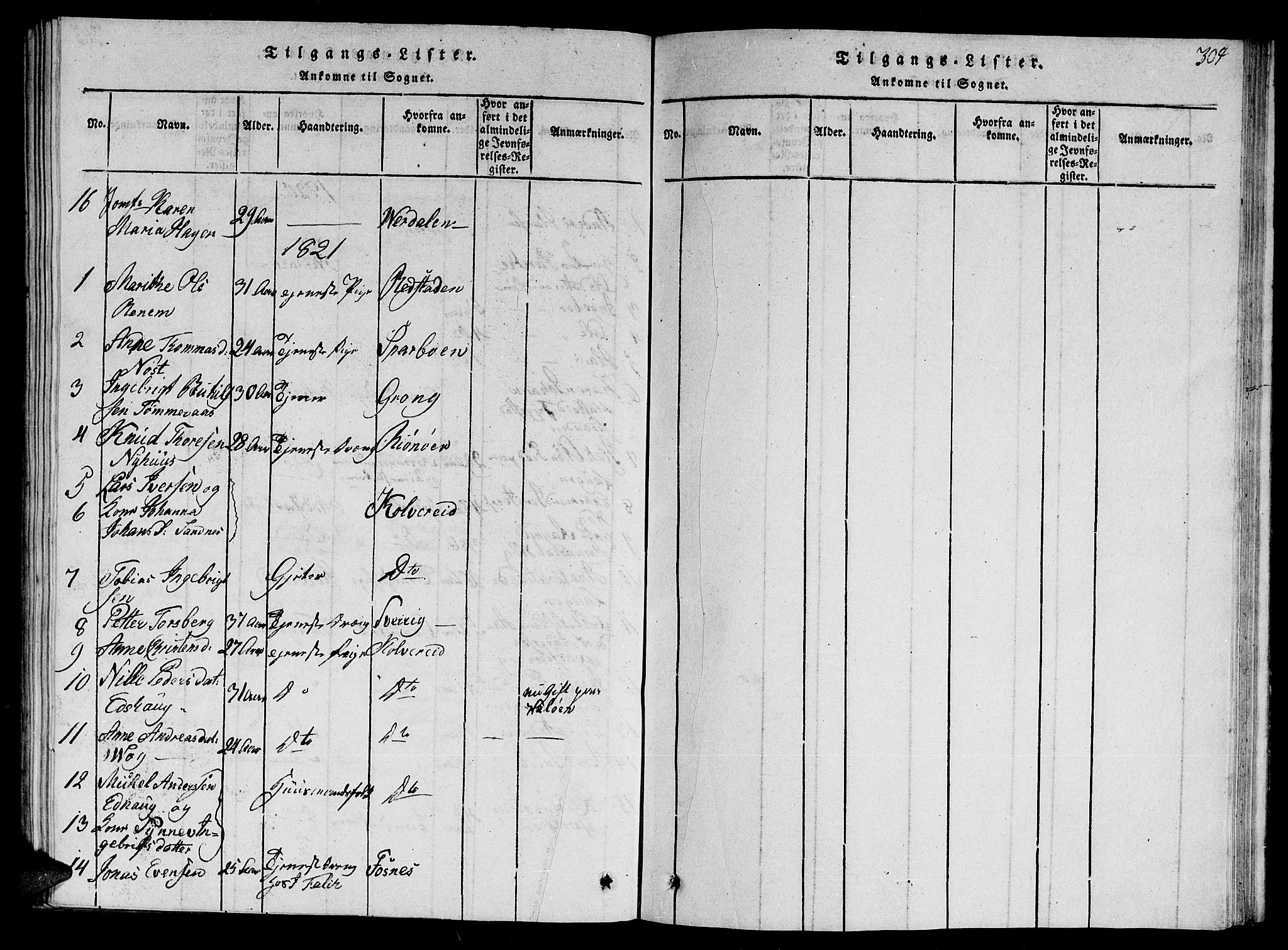 Ministerialprotokoller, klokkerbøker og fødselsregistre - Nord-Trøndelag, AV/SAT-A-1458/784/L0679: Klokkerbok nr. 784C01 /1, 1816-1822, s. 304