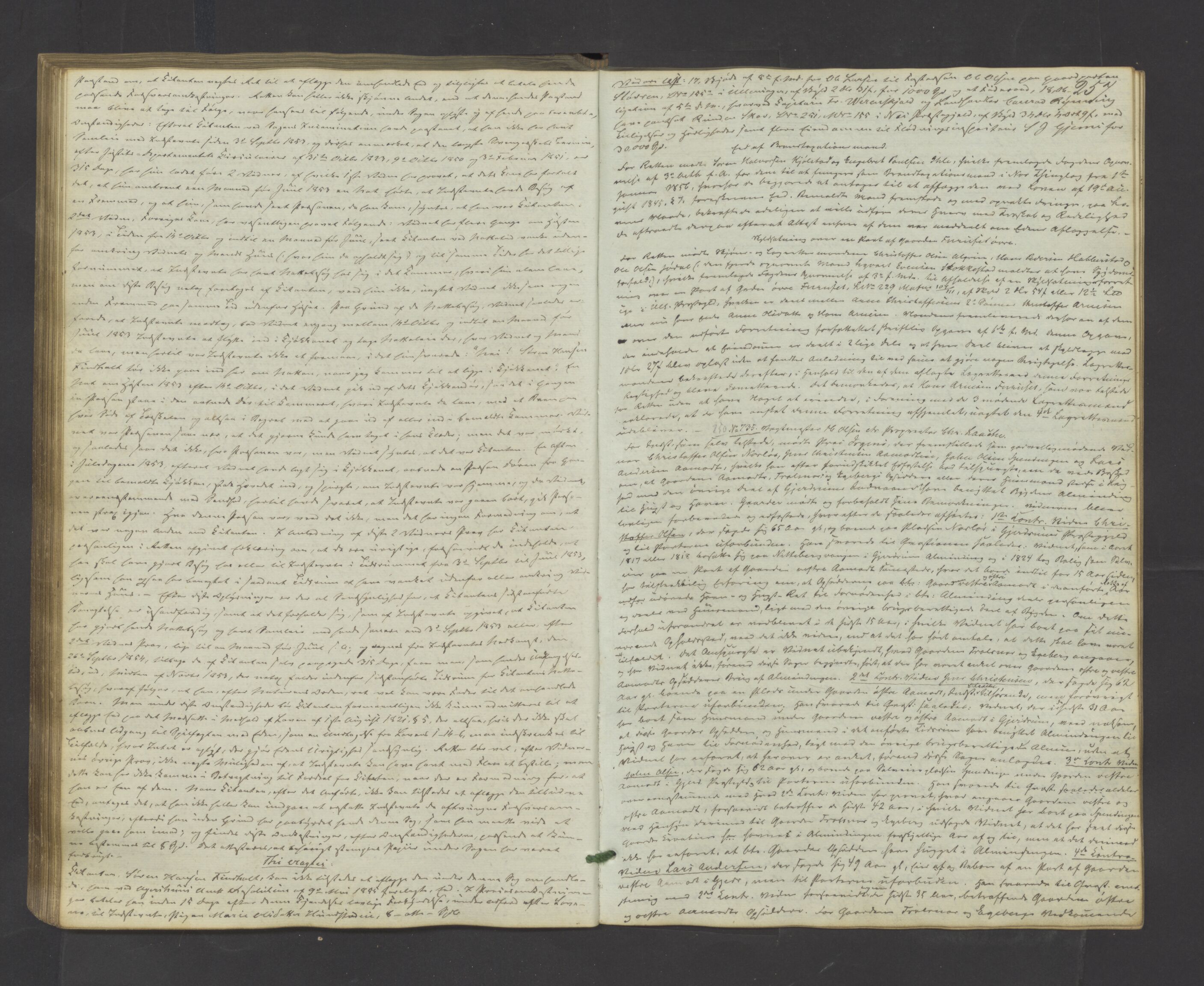 Nes tingrett, AV/SAO-A-10548/F/Fb/L0001: Tingbok, 1849-1862, s. 256b-257a
