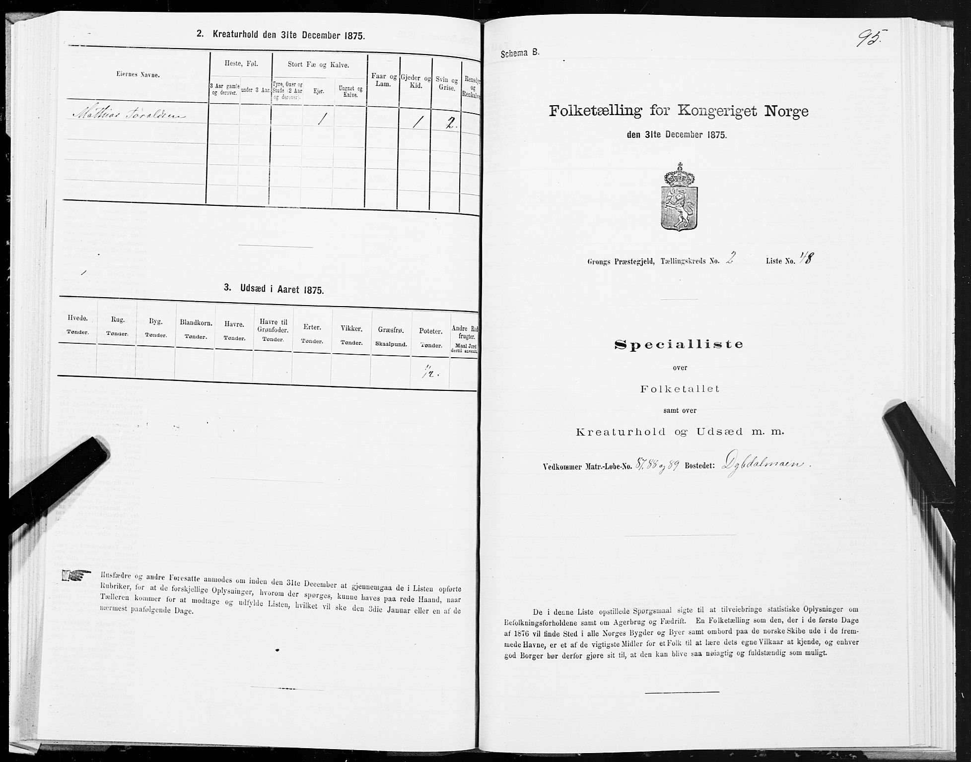 SAT, Folketelling 1875 for 1742P Grong prestegjeld, 1875, s. 2095