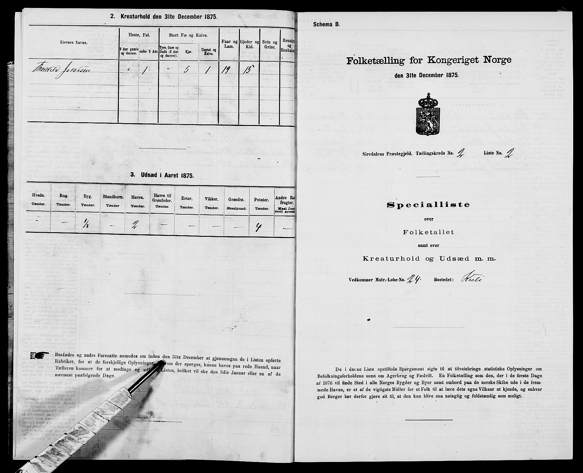 SAK, Folketelling 1875 for 1046P Sirdal prestegjeld, 1875, s. 139