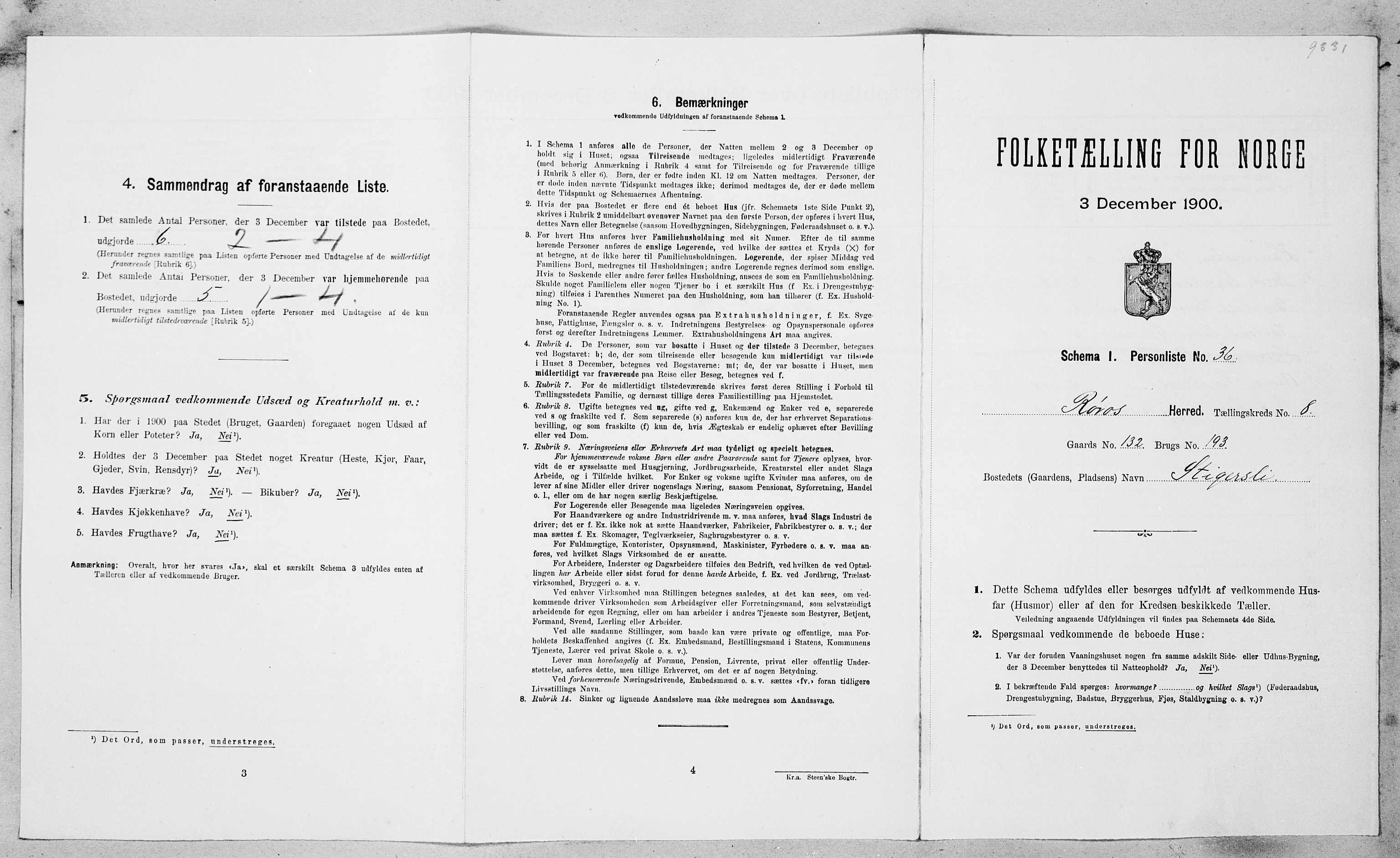 SAT, Folketelling 1900 for 1640 Røros herred, 1900, s. 968