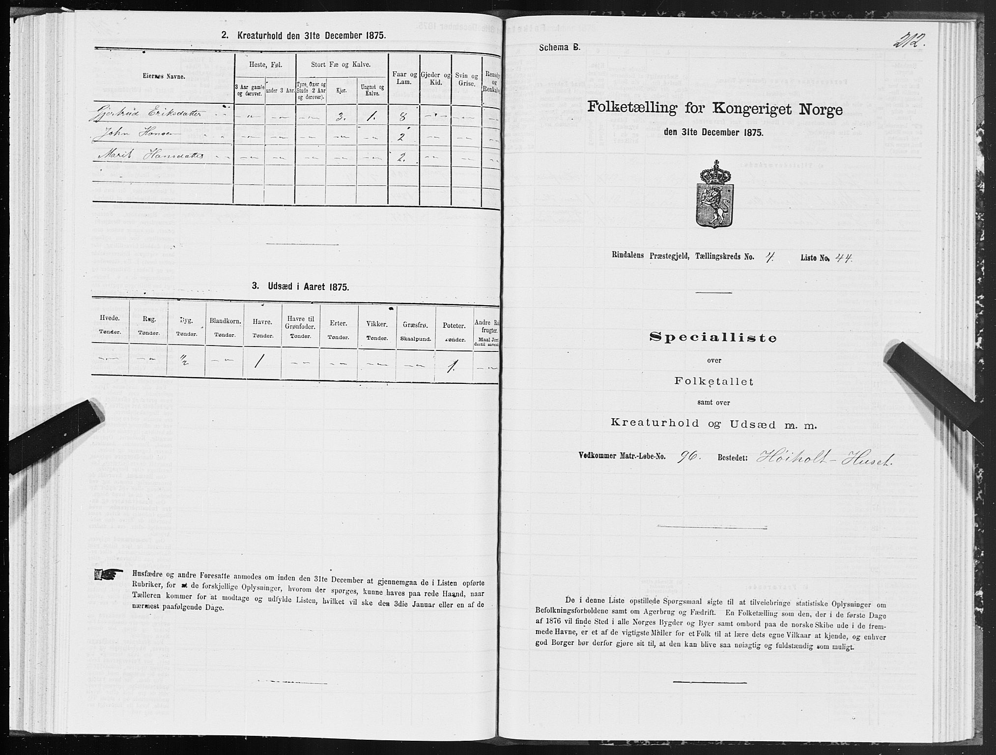 SAT, Folketelling 1875 for 1567P Rindal prestegjeld, 1875, s. 2212