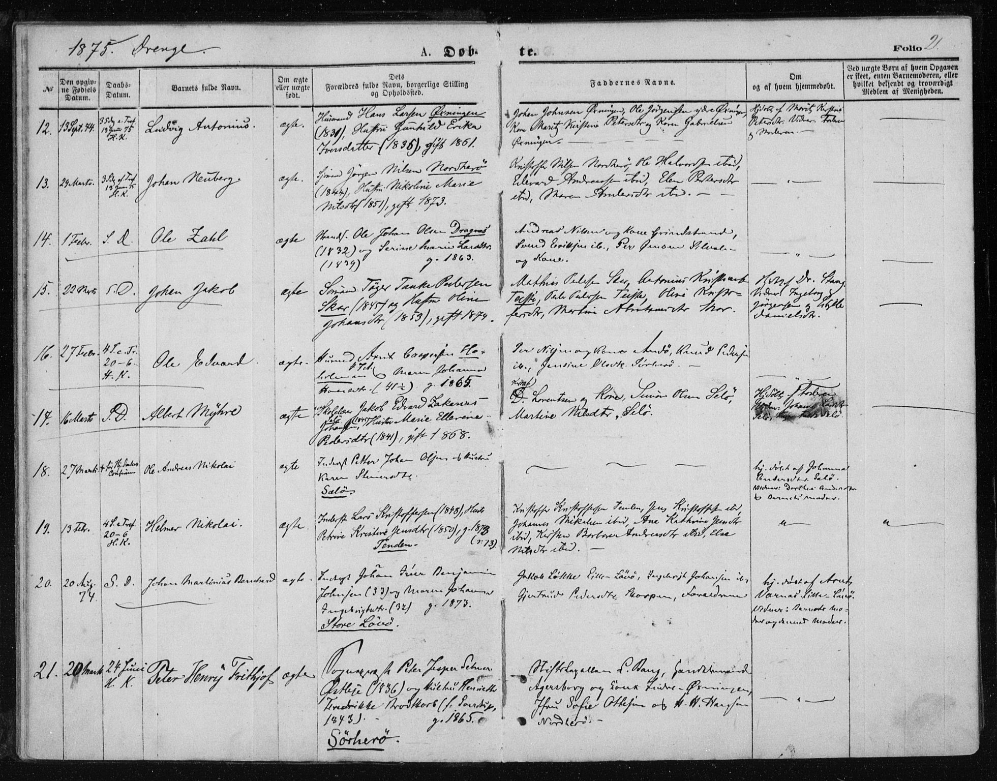 Ministerialprotokoller, klokkerbøker og fødselsregistre - Nordland, AV/SAT-A-1459/834/L0506: Ministerialbok nr. 834A04, 1872-1878, s. 21