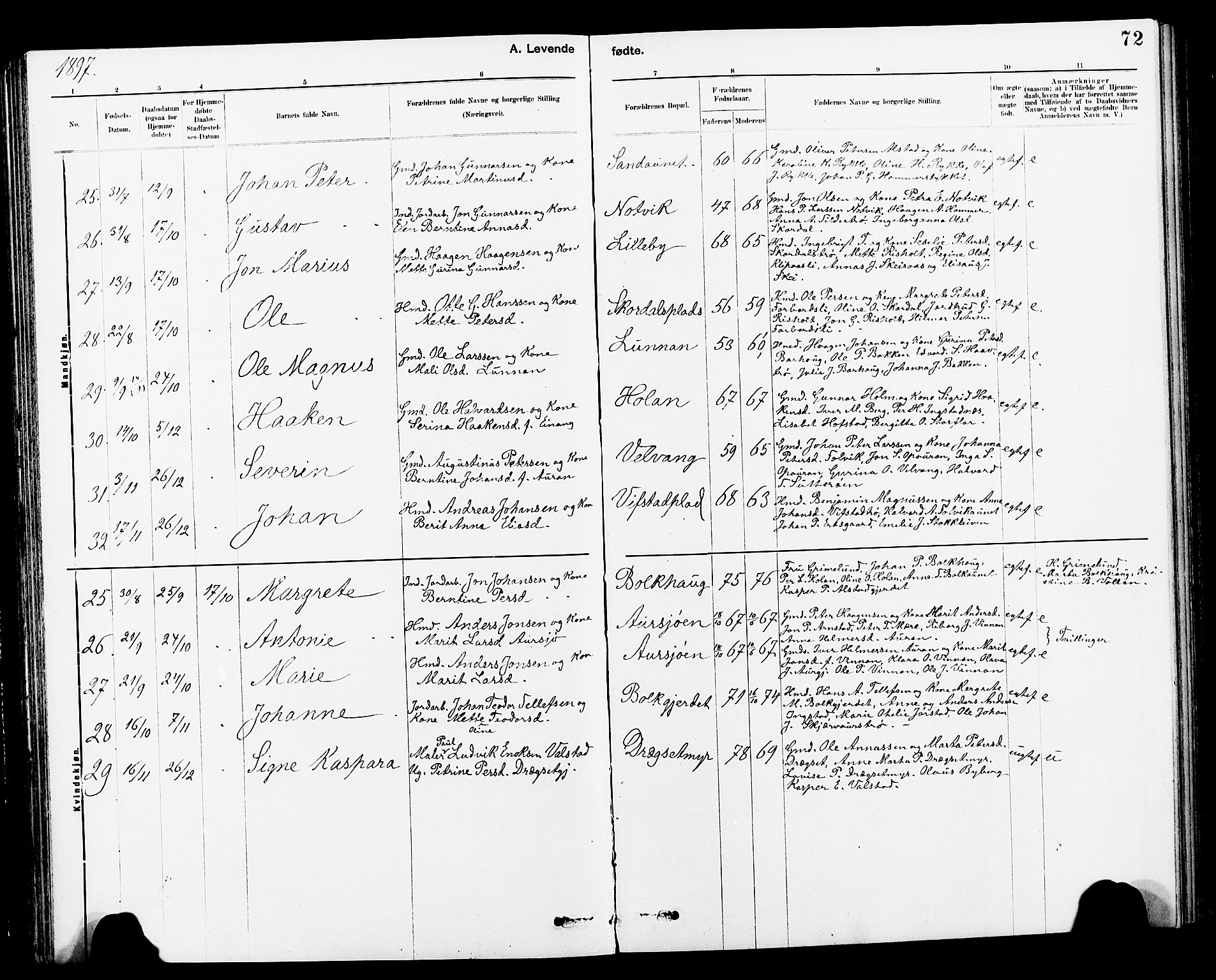 Ministerialprotokoller, klokkerbøker og fødselsregistre - Nord-Trøndelag, SAT/A-1458/712/L0103: Klokkerbok nr. 712C01, 1878-1917, s. 72