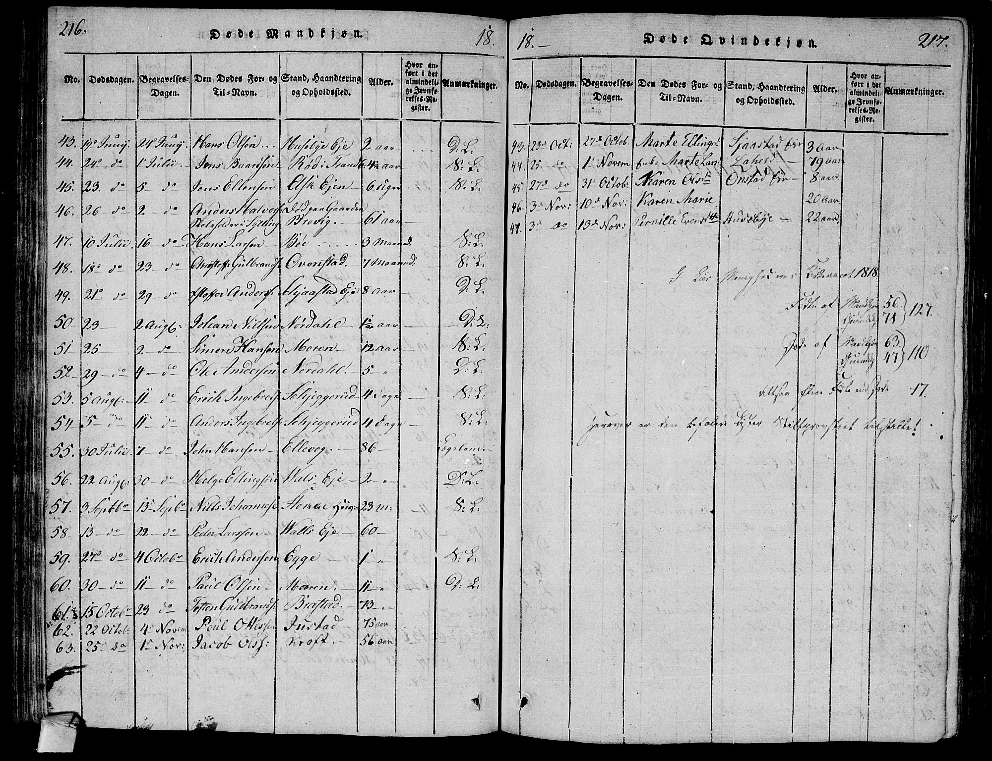 Lier kirkebøker, AV/SAKO-A-230/F/Fa/L0008: Ministerialbok nr. I 8, 1813-1825, s. 216-217