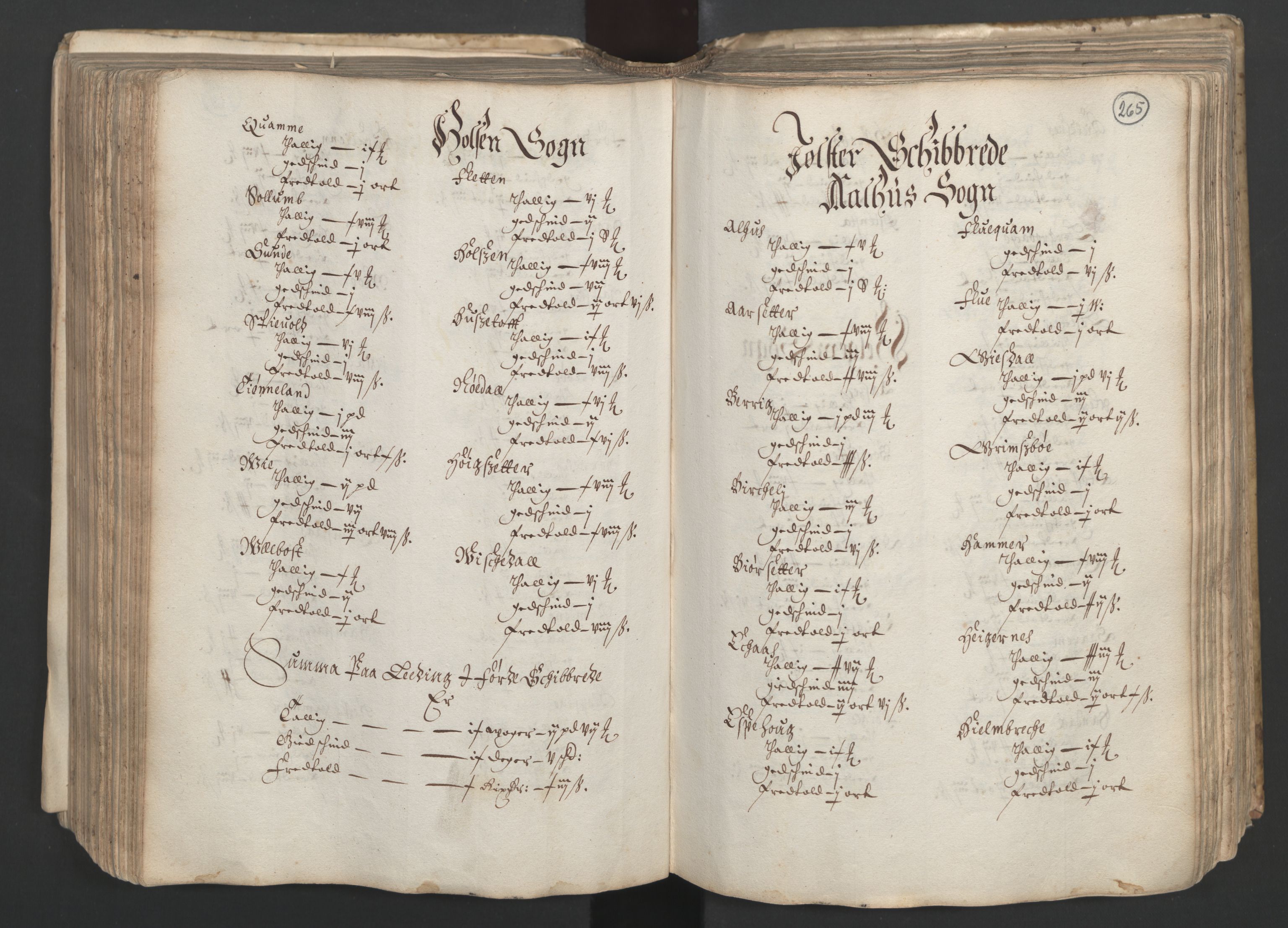 Rentekammeret inntil 1814, Realistisk ordnet avdeling, AV/RA-EA-4070/L/L0025/0001: Bergen lagdømme: / [B]: Kronens jordebok. Nordhordland, Sunnhordland, Ytre Sogn, Indre Sogn, Sunnfjord, Nordfjord, Sunnmøre, Hardanger med Halsnøy kloster, Lyse kloster, Apostelgodset, Munkeliv og St. Hans kloster, Alle helgen gods, Lagstolen gods, Ove Jenssøns gods på Voss, 1661, s. 264b-265a