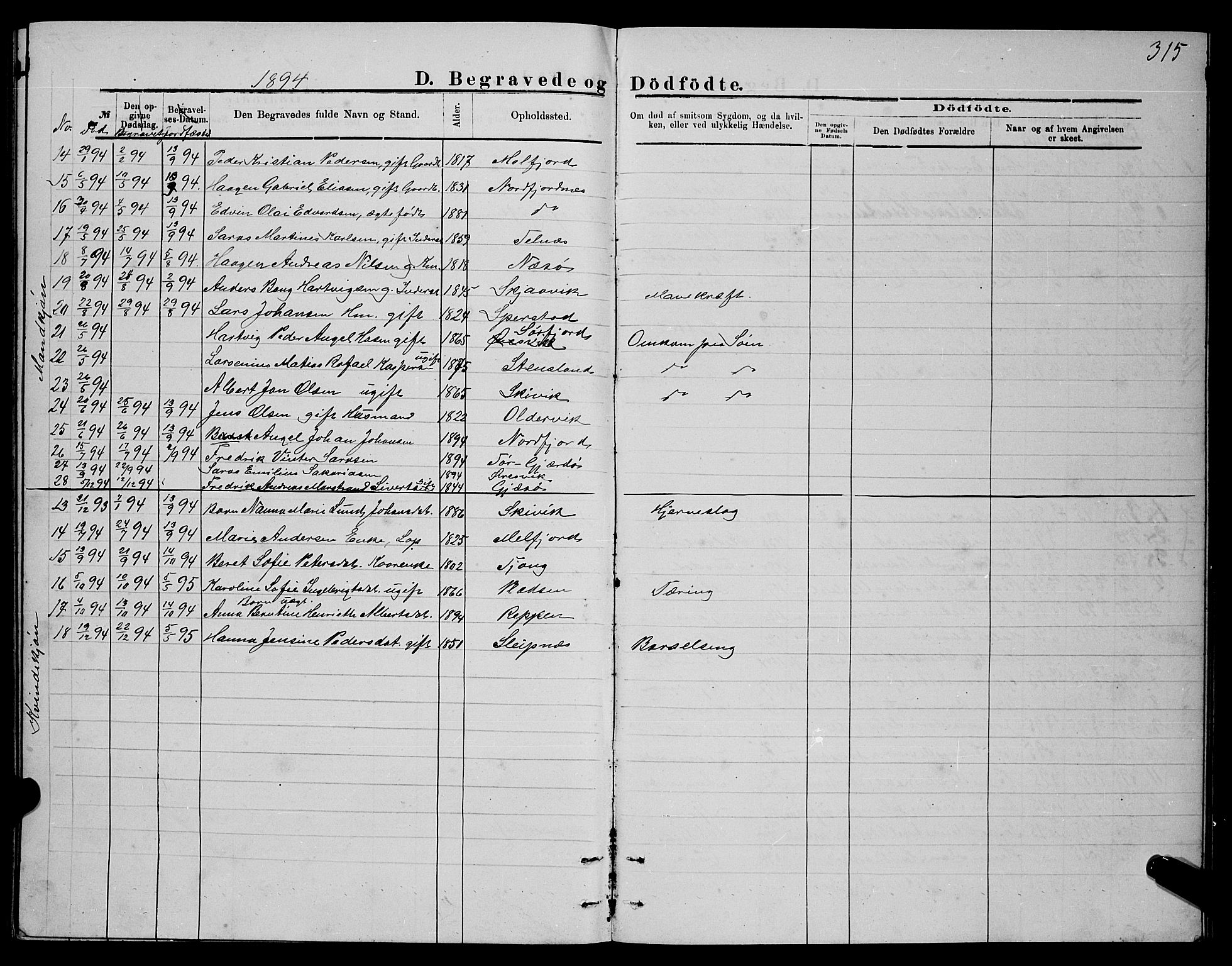 Ministerialprotokoller, klokkerbøker og fødselsregistre - Nordland, SAT/A-1459/841/L0620: Klokkerbok nr. 841C04, 1877-1896, s. 315