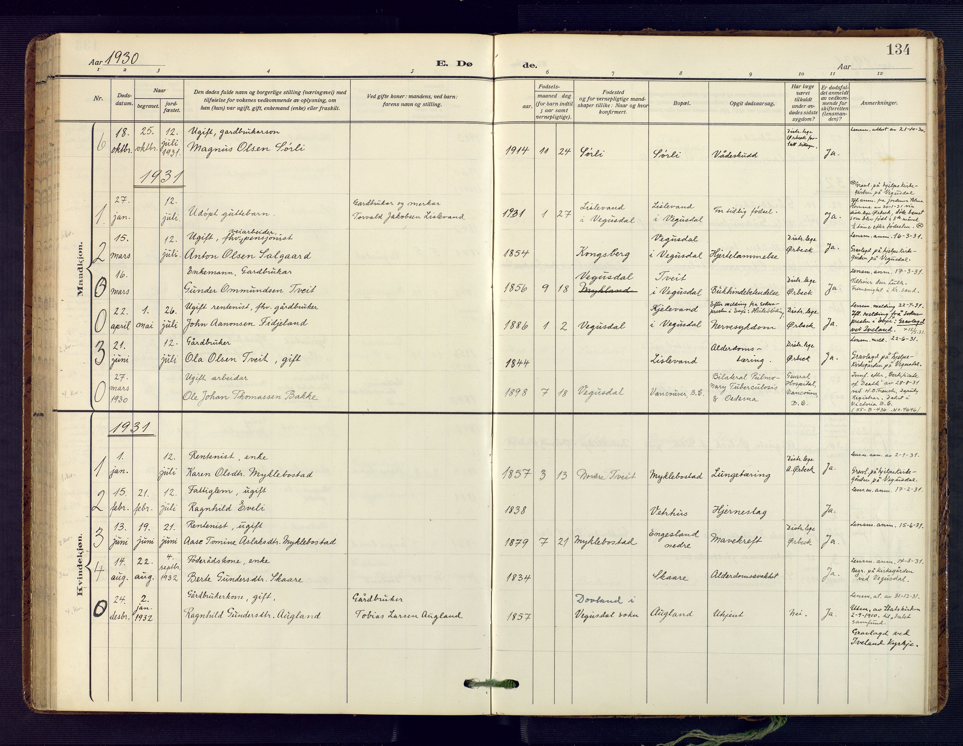 Herefoss sokneprestkontor, AV/SAK-1111-0019/F/Fa/Fab/L0005: Ministerialbok nr. A 5, 1910-1932, s. 134