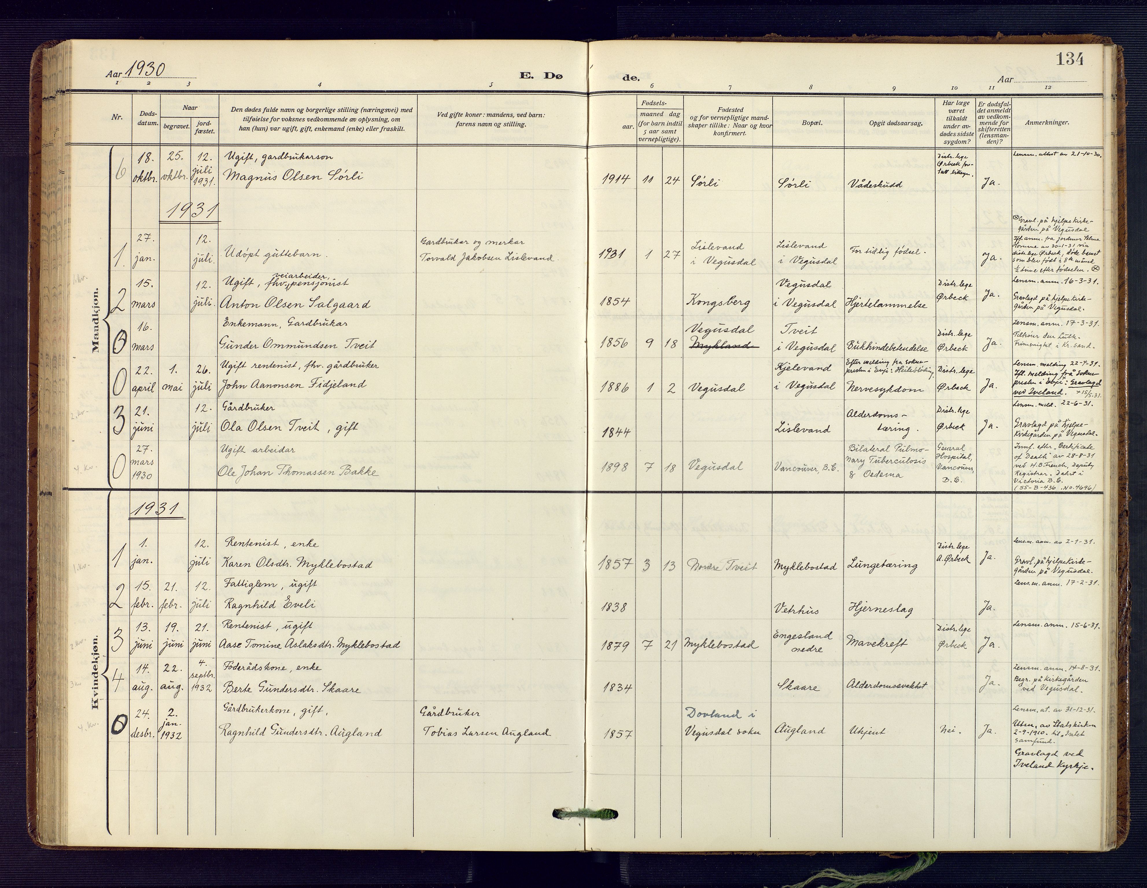 Herefoss sokneprestkontor, SAK/1111-0019/F/Fa/Fab/L0005: Ministerialbok nr. A 5, 1910-1932, s. 134