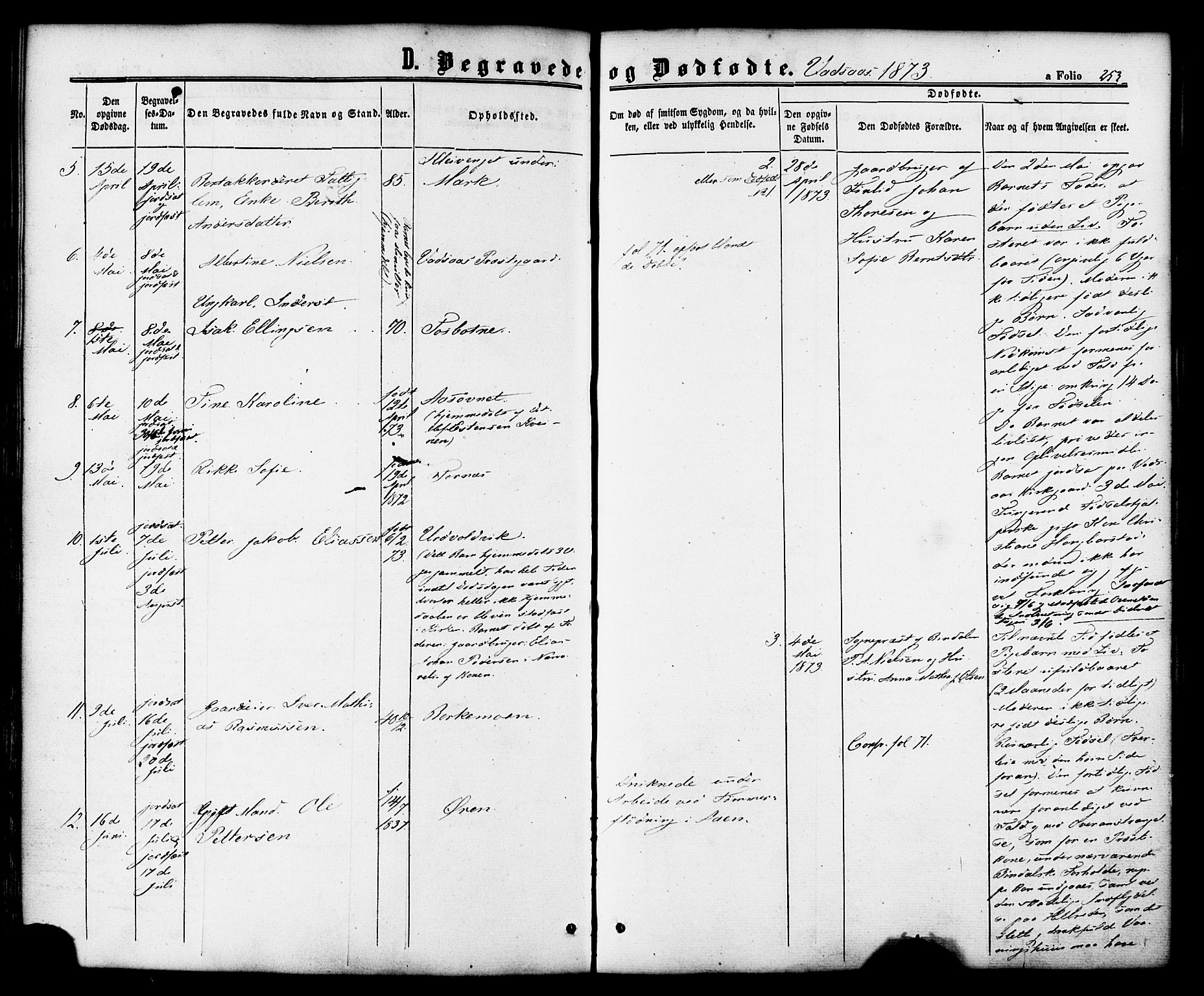 Ministerialprotokoller, klokkerbøker og fødselsregistre - Nordland, AV/SAT-A-1459/810/L0146: Ministerialbok nr. 810A08 /1, 1862-1874, s. 253