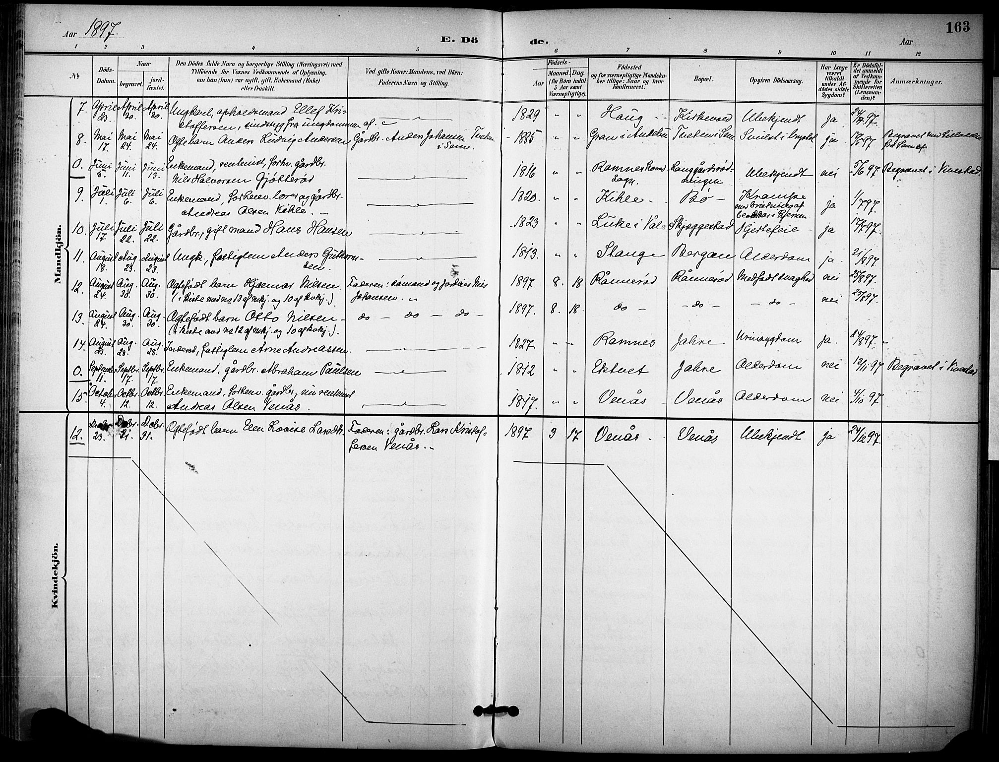 Ramnes kirkebøker, AV/SAKO-A-314/F/Fa/L0008: Ministerialbok nr. I 8, 1896-1913, s. 163