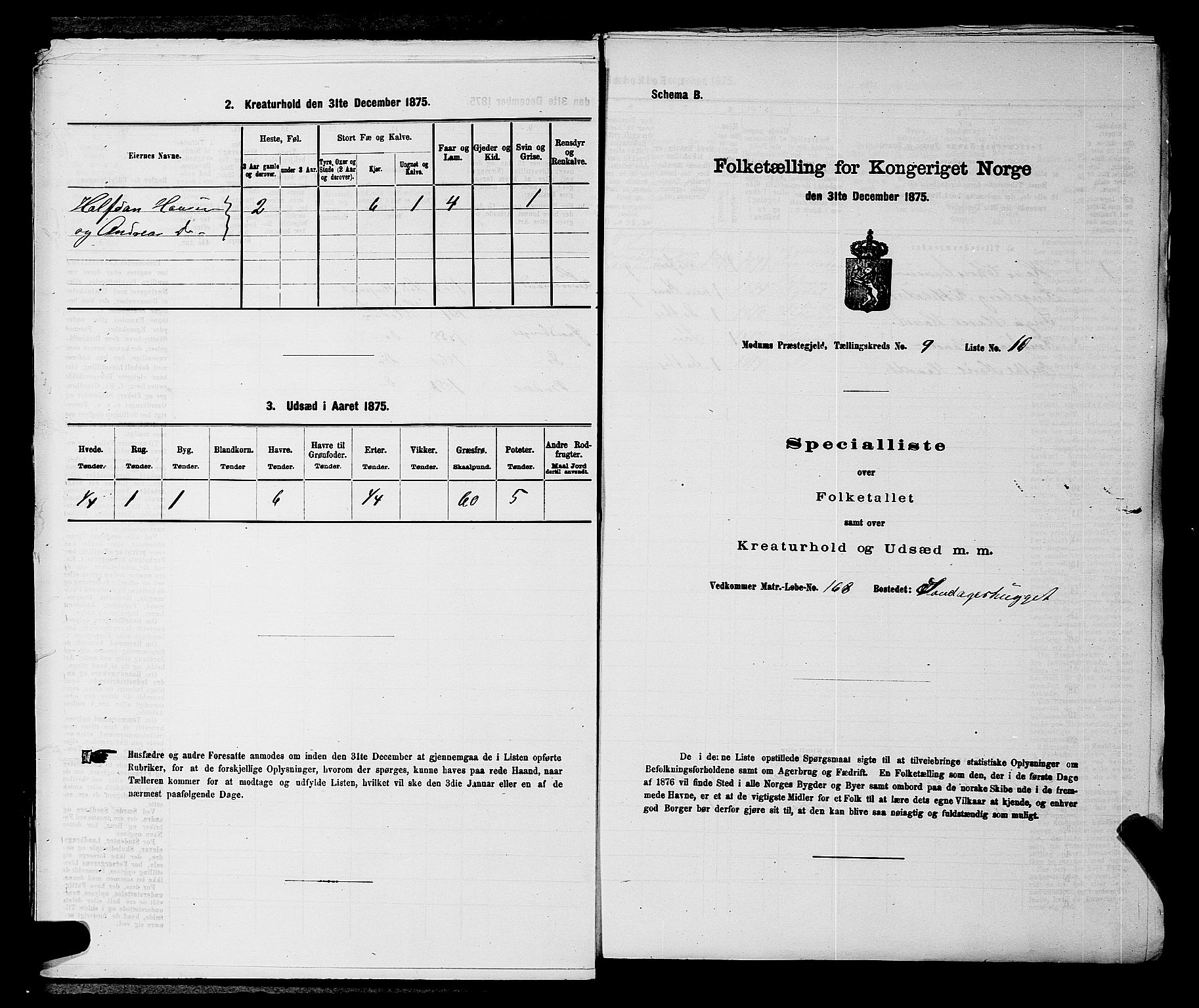 SAKO, Folketelling 1875 for 0623P Modum prestegjeld, 1875, s. 1060