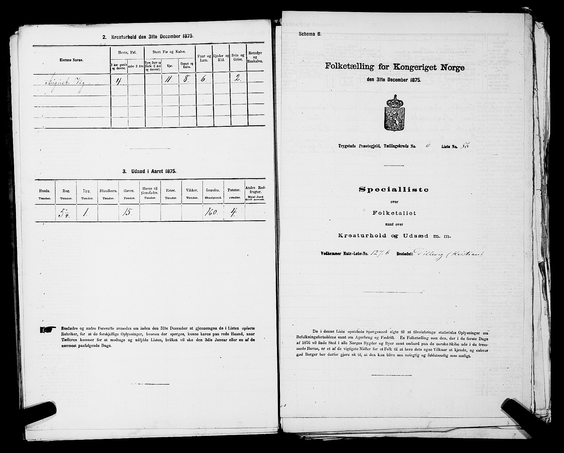 RA, Folketelling 1875 for 0122P Trøgstad prestegjeld, 1875, s. 731