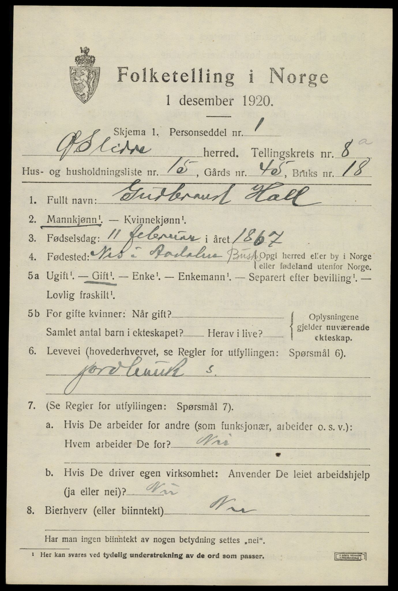 SAH, Folketelling 1920 for 0544 Øystre Slidre herred, 1920, s. 4921