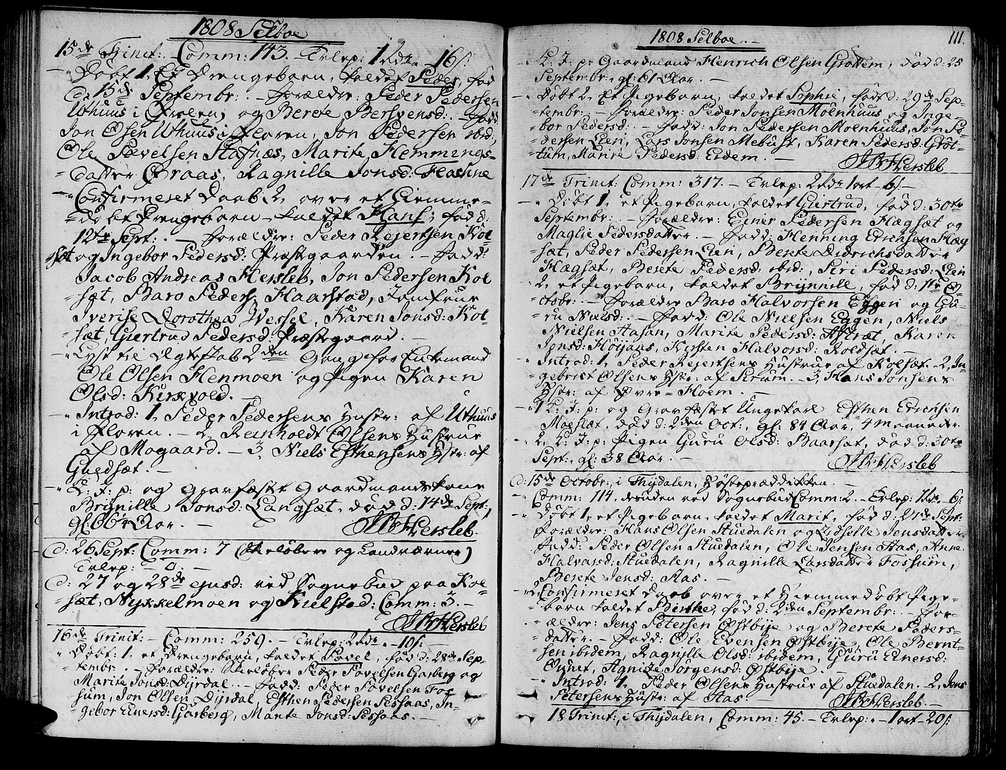 Ministerialprotokoller, klokkerbøker og fødselsregistre - Sør-Trøndelag, SAT/A-1456/695/L1140: Ministerialbok nr. 695A03, 1801-1815, s. 111