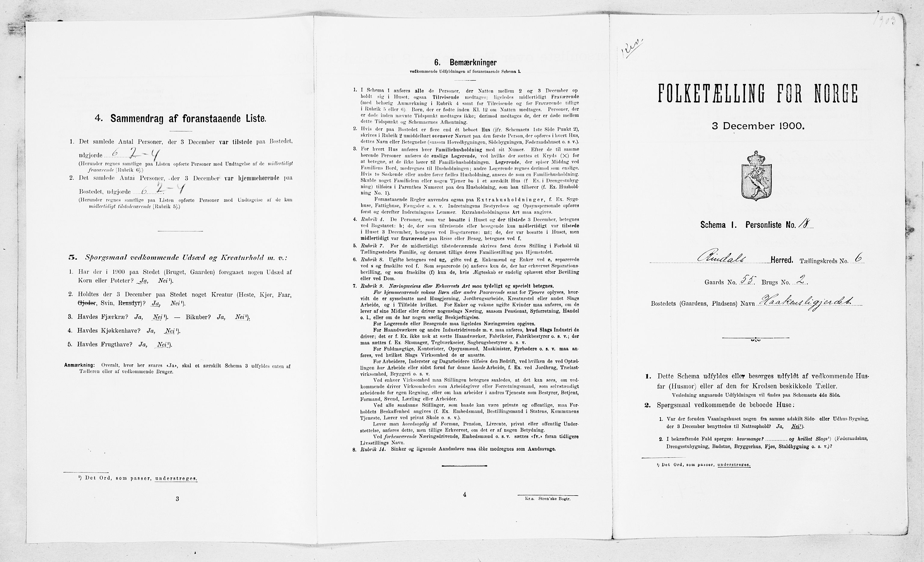 SAT, Folketelling 1900 for 1567 Rindal herred, 1900, s. 603