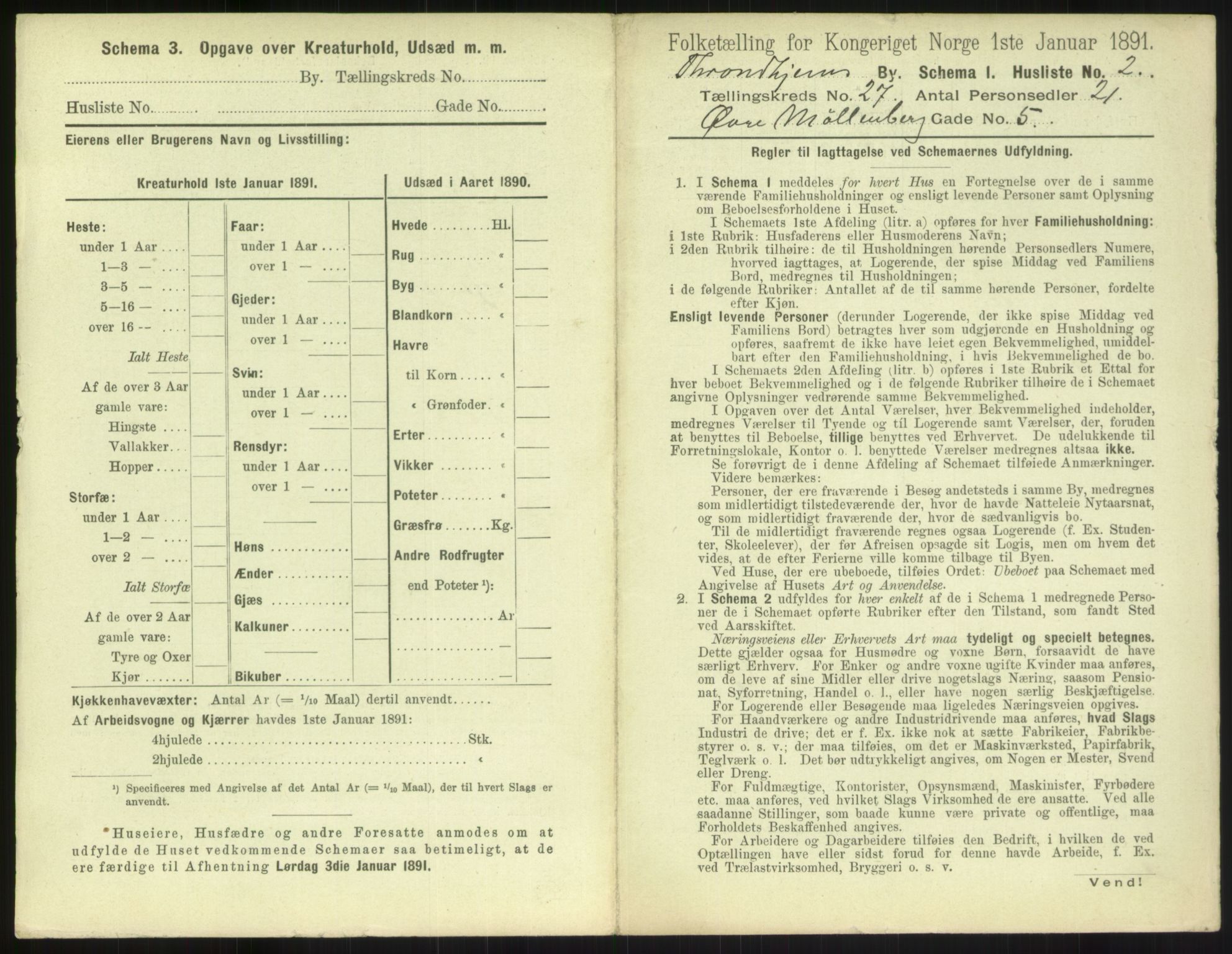 RA, Folketelling 1891 for 1601 Trondheim kjøpstad, 1891, s. 1886