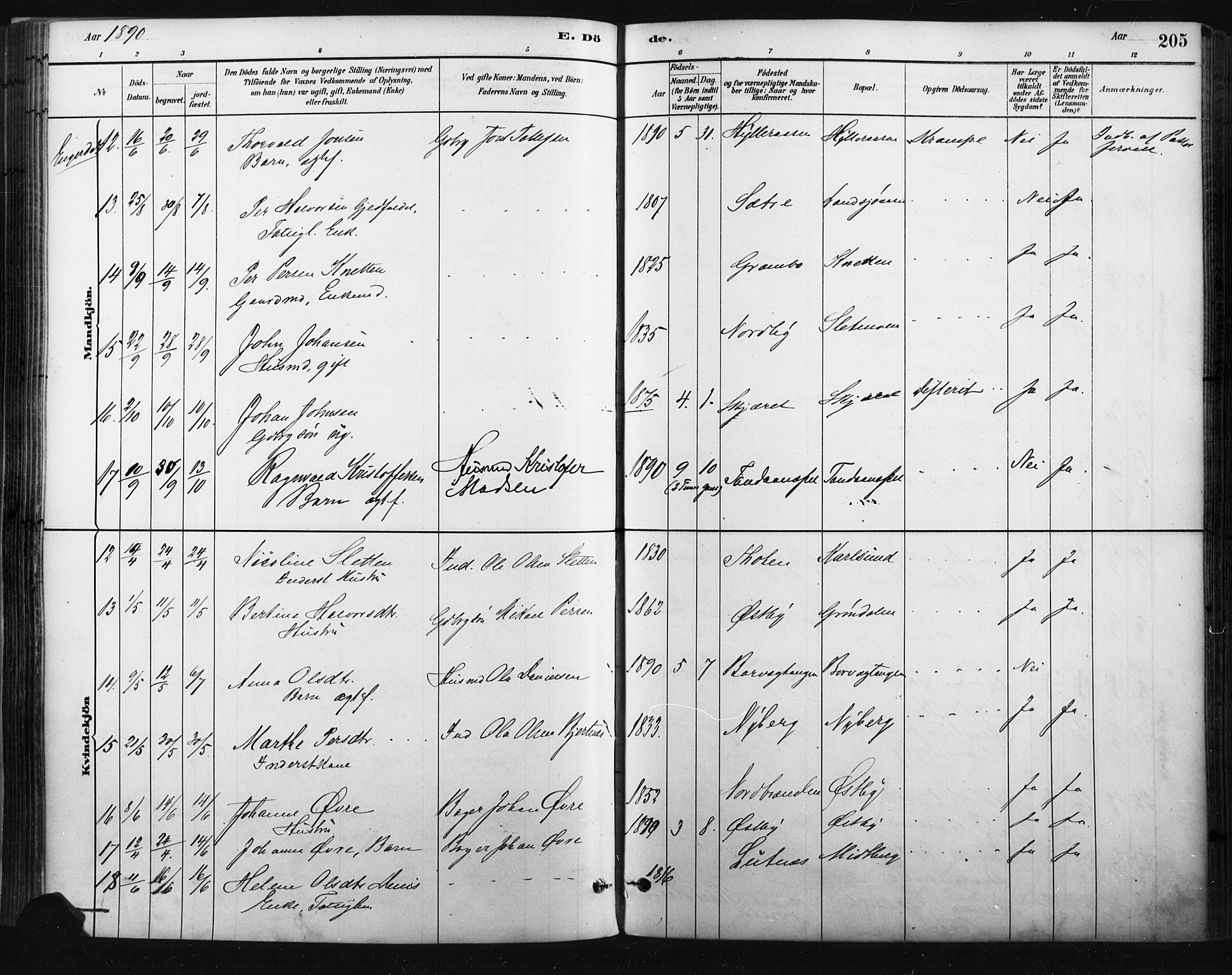 Trysil prestekontor, AV/SAH-PREST-046/H/Ha/Haa/L0009: Ministerialbok nr. 9, 1881-1897, s. 205