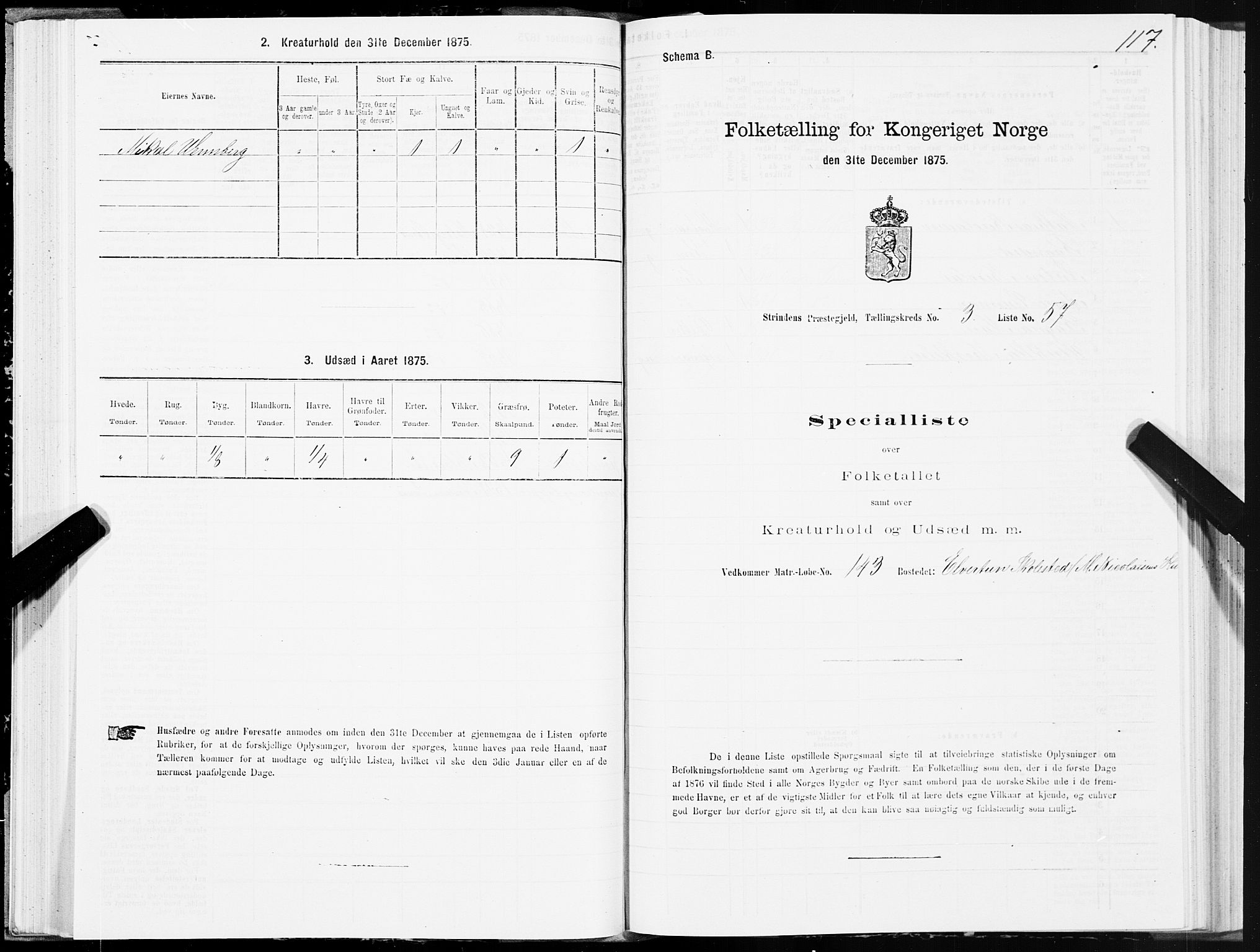 SAT, Folketelling 1875 for 1660P Strinda prestegjeld, 1875, s. 2117