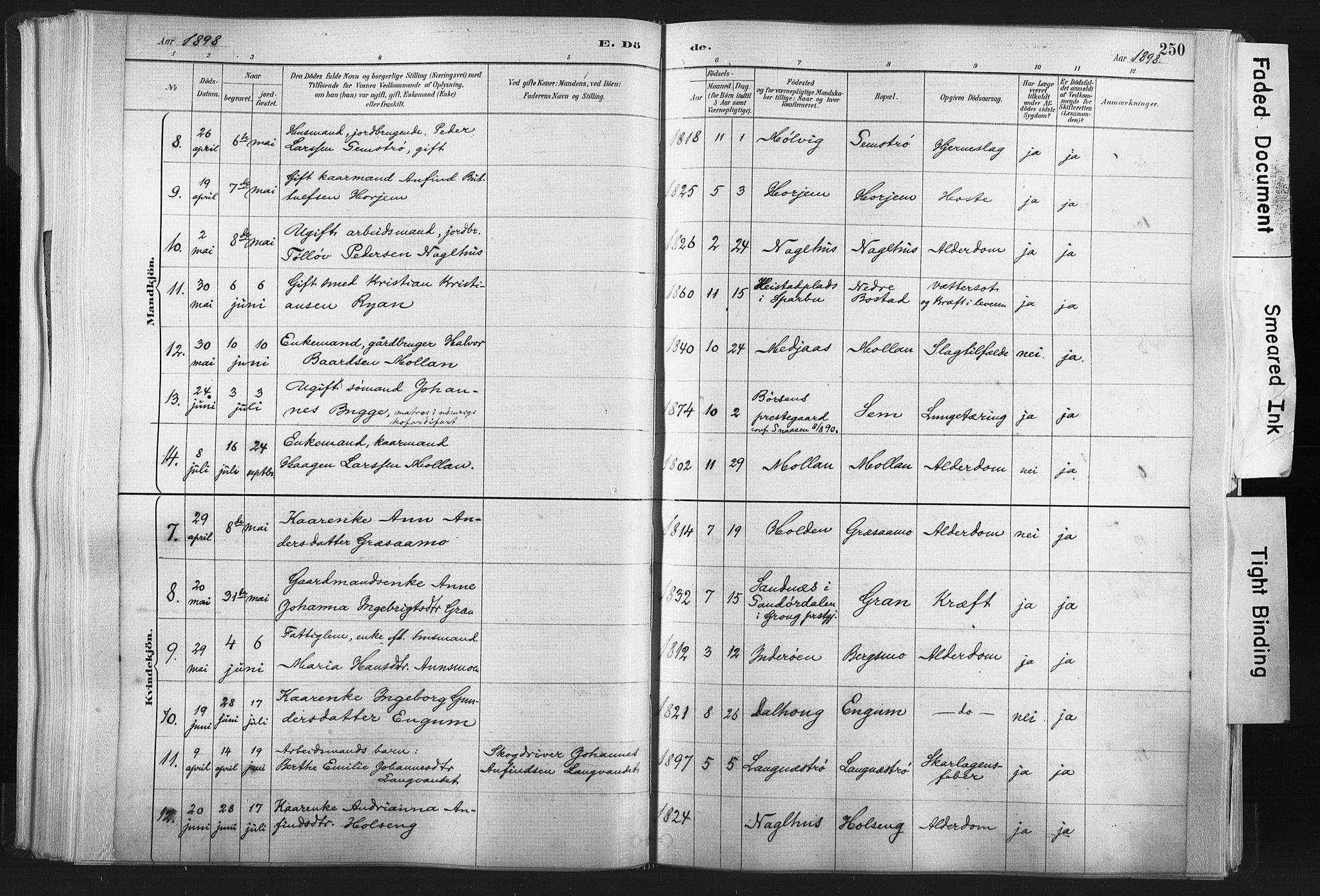 Ministerialprotokoller, klokkerbøker og fødselsregistre - Nord-Trøndelag, SAT/A-1458/749/L0474: Ministerialbok nr. 749A08, 1887-1903, s. 250