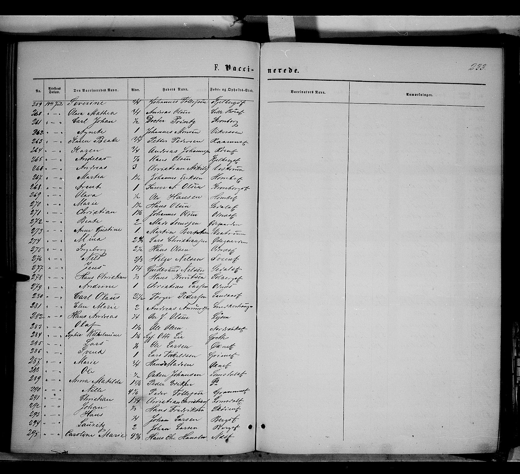 Søndre Land prestekontor, AV/SAH-PREST-122/K/L0001: Ministerialbok nr. 1, 1860-1877, s. 233