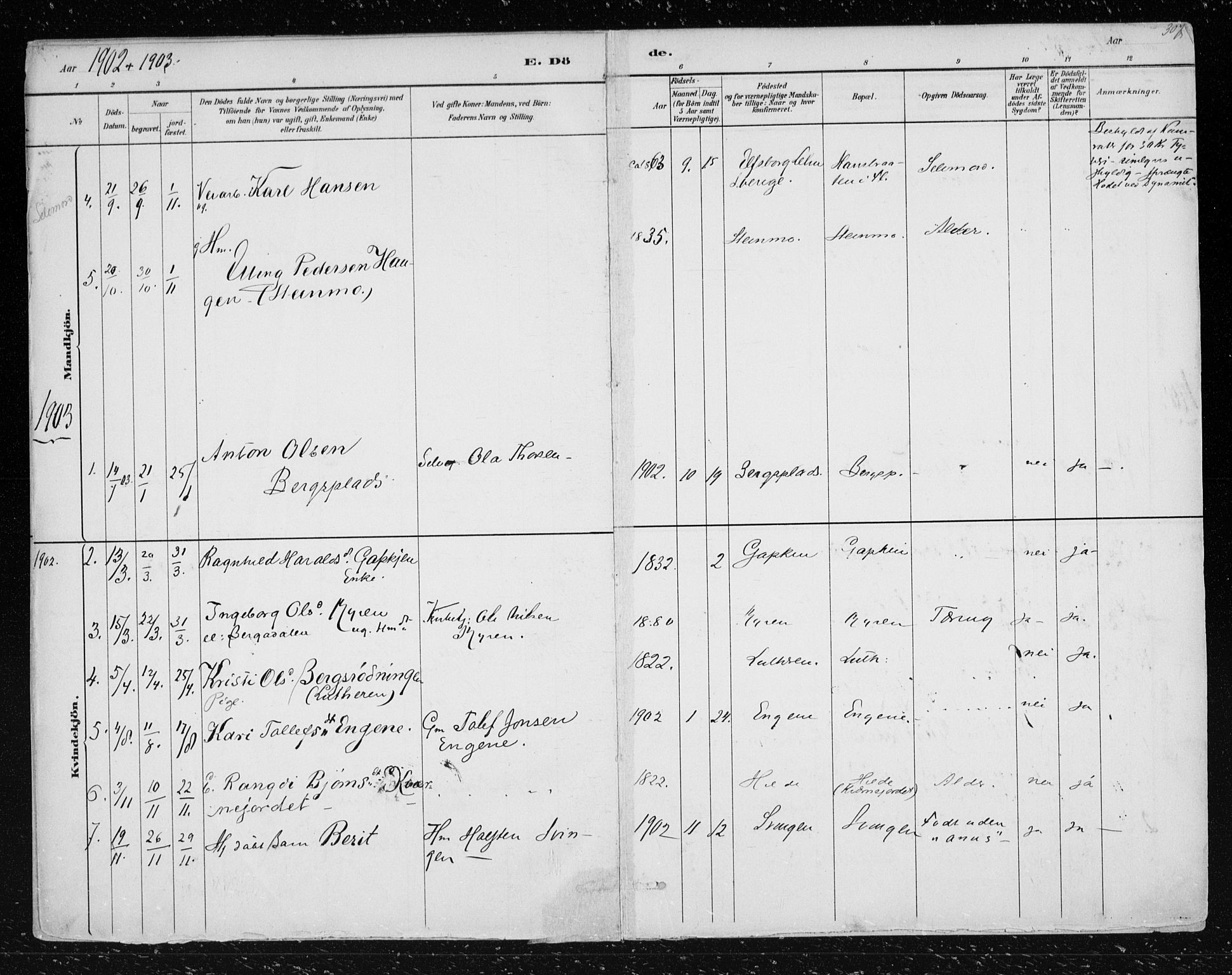 Nes kirkebøker, AV/SAKO-A-236/F/Fa/L0012: Ministerialbok nr. 12, 1881-1917, s. 307