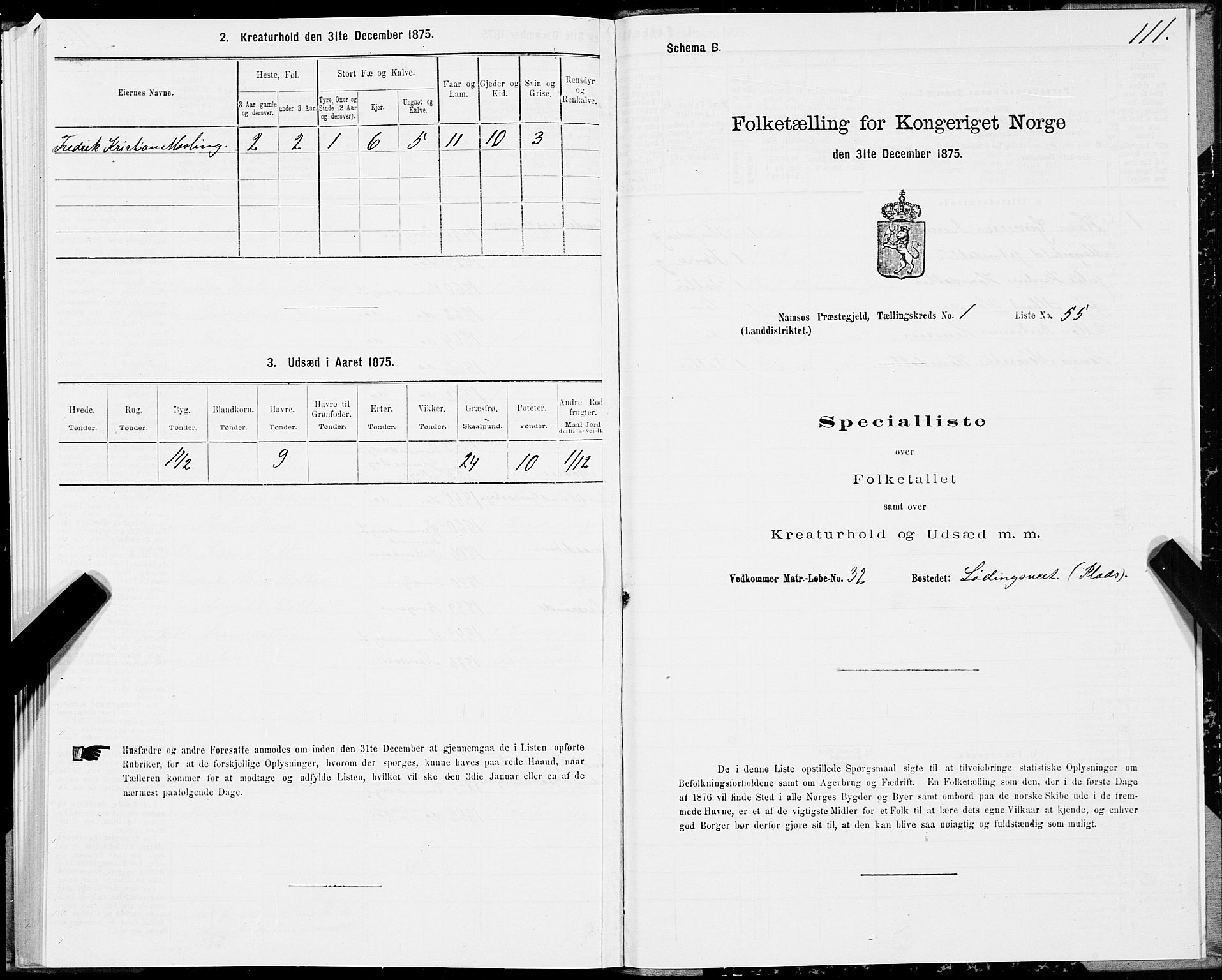 SAT, Folketelling 1875 for 1745L Namsos prestegjeld, Vemundvik sokn og Sævik sokn, 1875, s. 1111