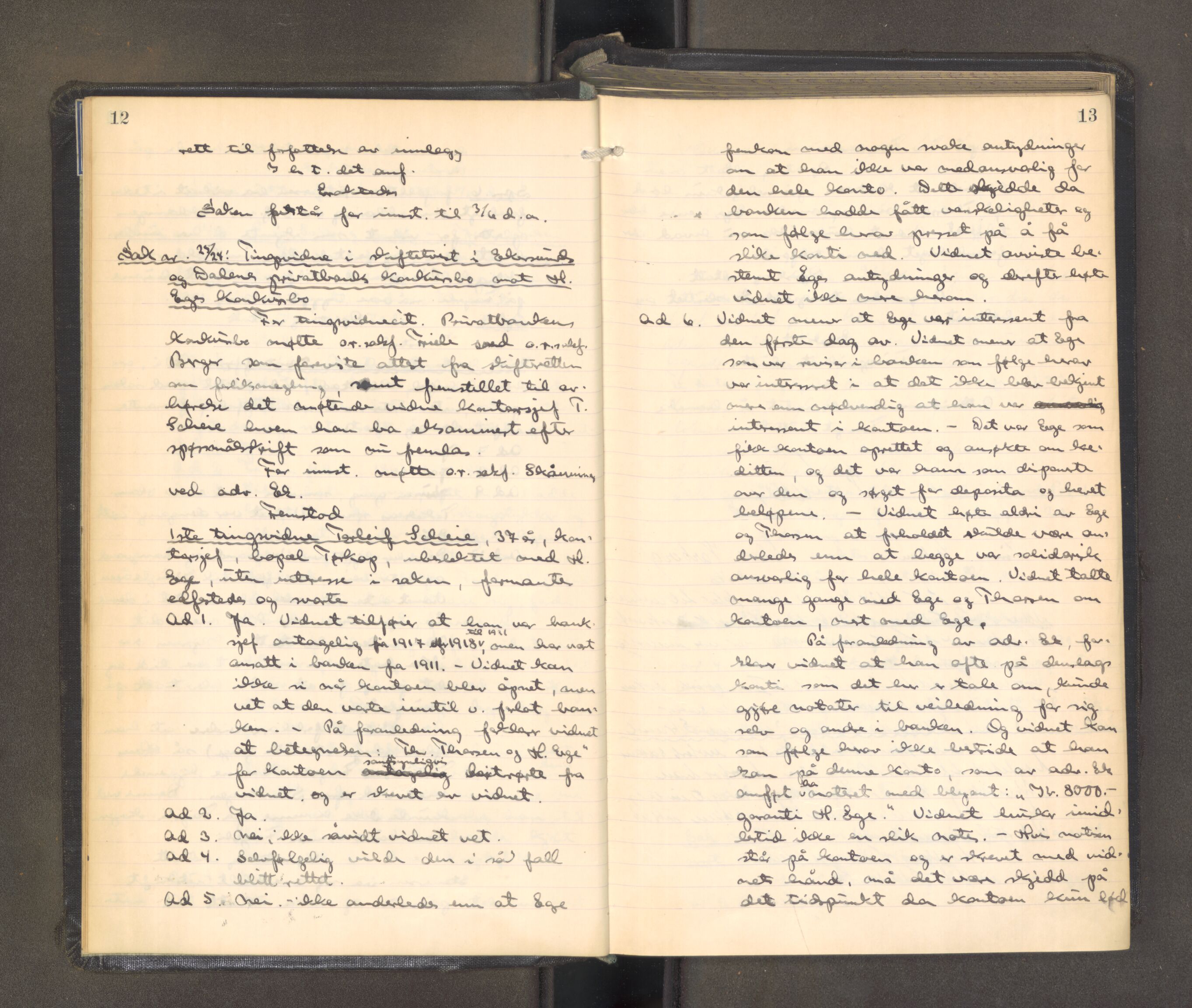 Nordre Jarlsberg sorenskriveri, AV/SAKO-A-80/F/Fa/Faa/L0061: Tingbok, 1924-1930, s. 12-13