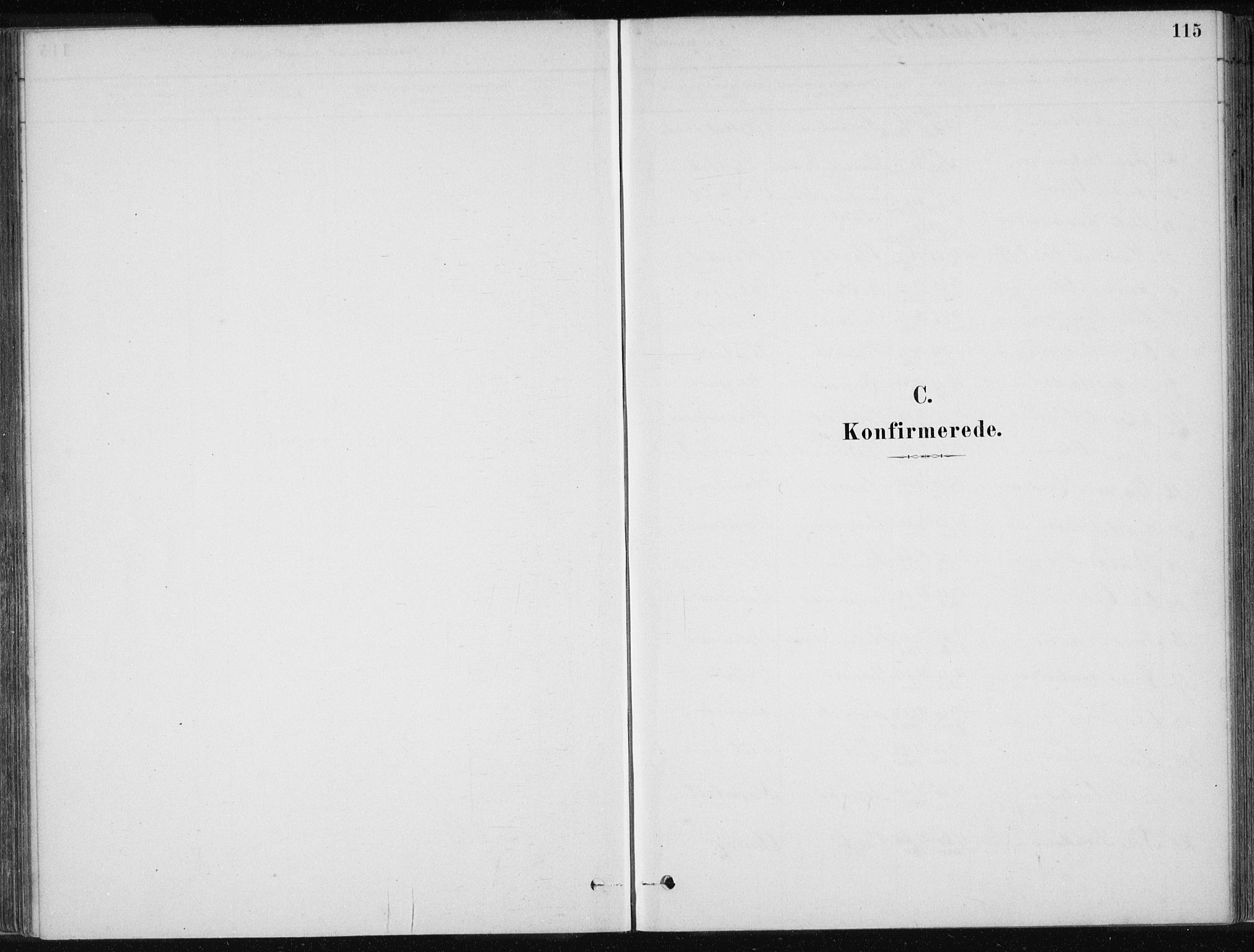 Ministerialprotokoller, klokkerbøker og fødselsregistre - Møre og Romsdal, SAT/A-1454/586/L0987: Ministerialbok nr. 586A13, 1879-1892, s. 115