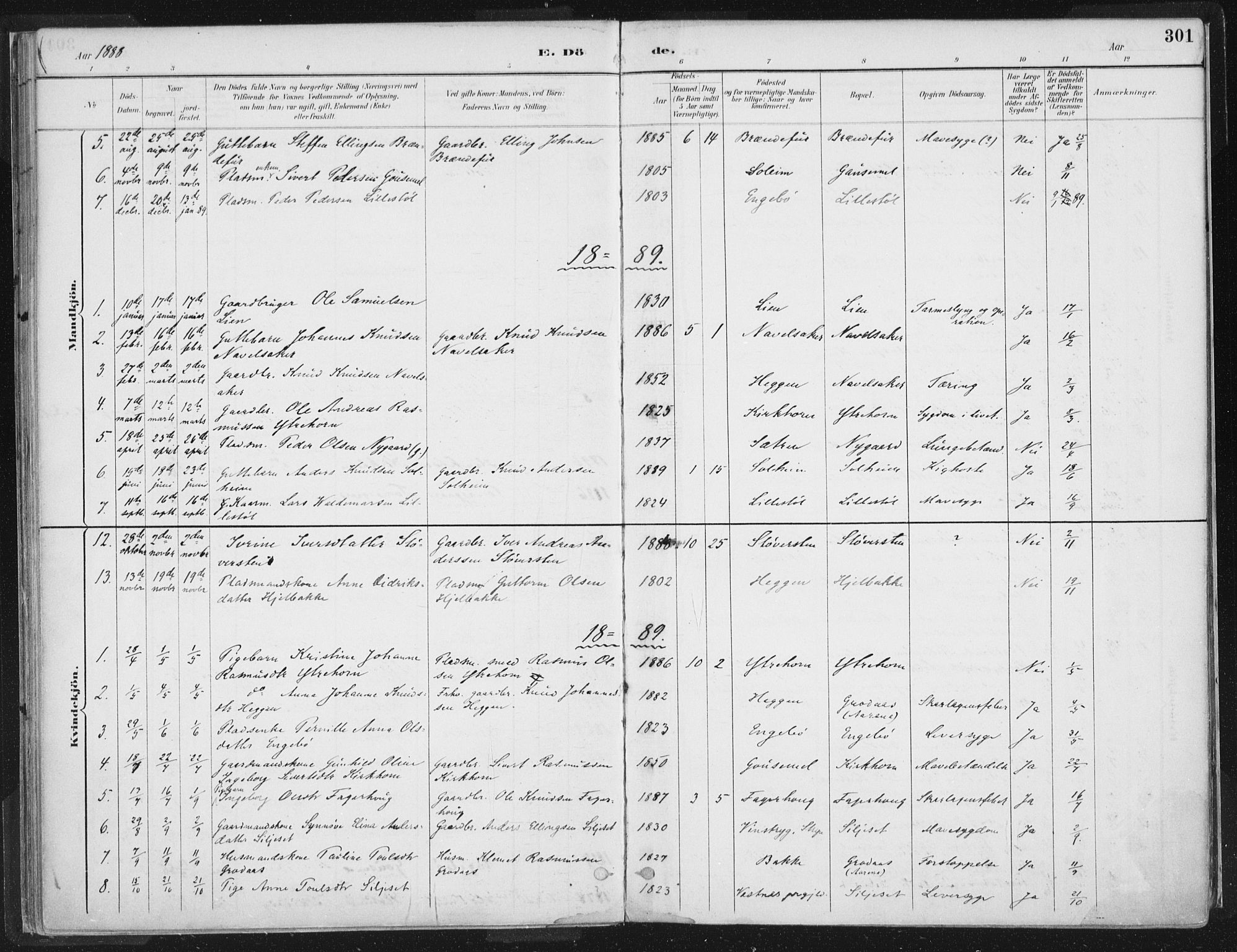 Hornindal sokneprestembete, SAB/A-82401/H/Haa/Haaa/L0003/0002: Ministerialbok nr. A 3B, 1885-1917, s. 301