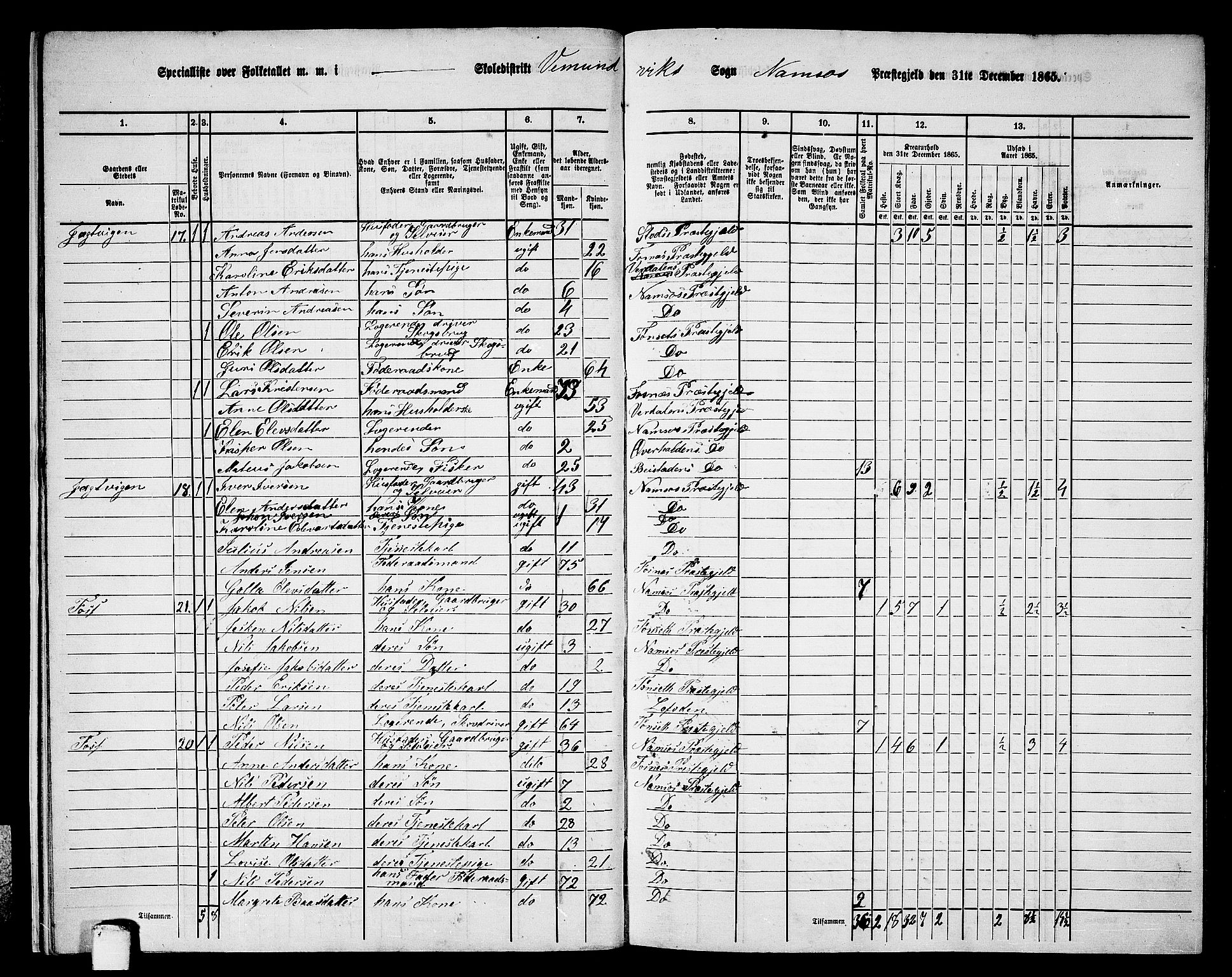 RA, Folketelling 1865 for 1745L Namsos prestegjeld, Vemundvik sokn og Sævik sokn, 1865, s. 13