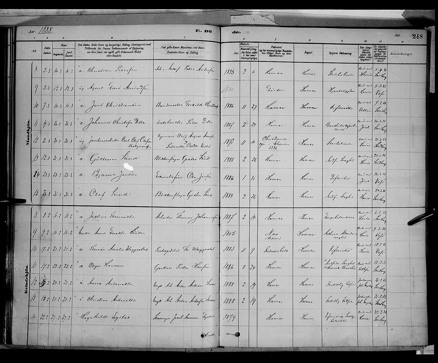 Vang prestekontor, Hedmark, AV/SAH-PREST-008/H/Ha/Haa/L0016: Ministerialbok nr. 16, 1878-1889, s. 248