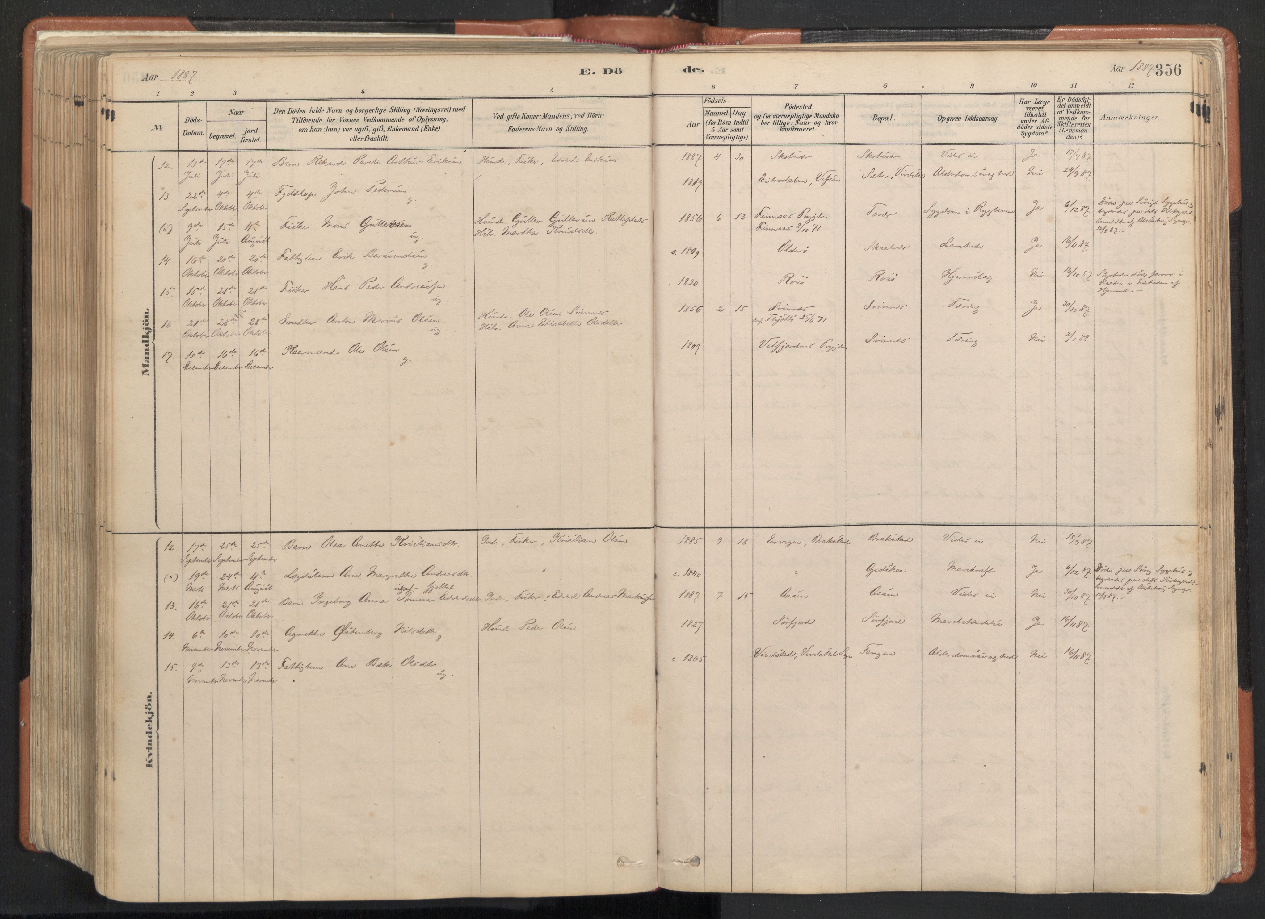 Ministerialprotokoller, klokkerbøker og fødselsregistre - Nordland, AV/SAT-A-1459/817/L0264: Ministerialbok nr. 817A04, 1878-1907, s. 356
