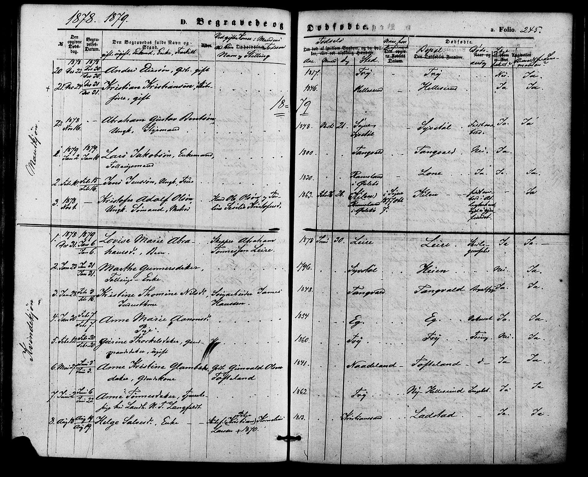 Søgne sokneprestkontor, SAK/1111-0037/F/Fa/Fab/L0011: Ministerialbok nr. A 11, 1869-1879, s. 245