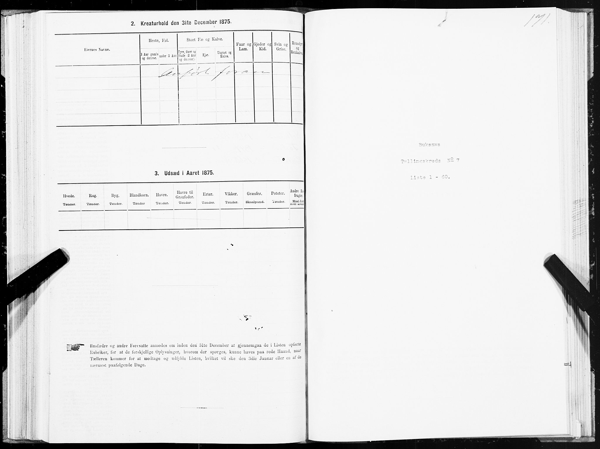 SAT, Folketelling 1875 for 1860P Buksnes prestegjeld, 1875, s. 3171