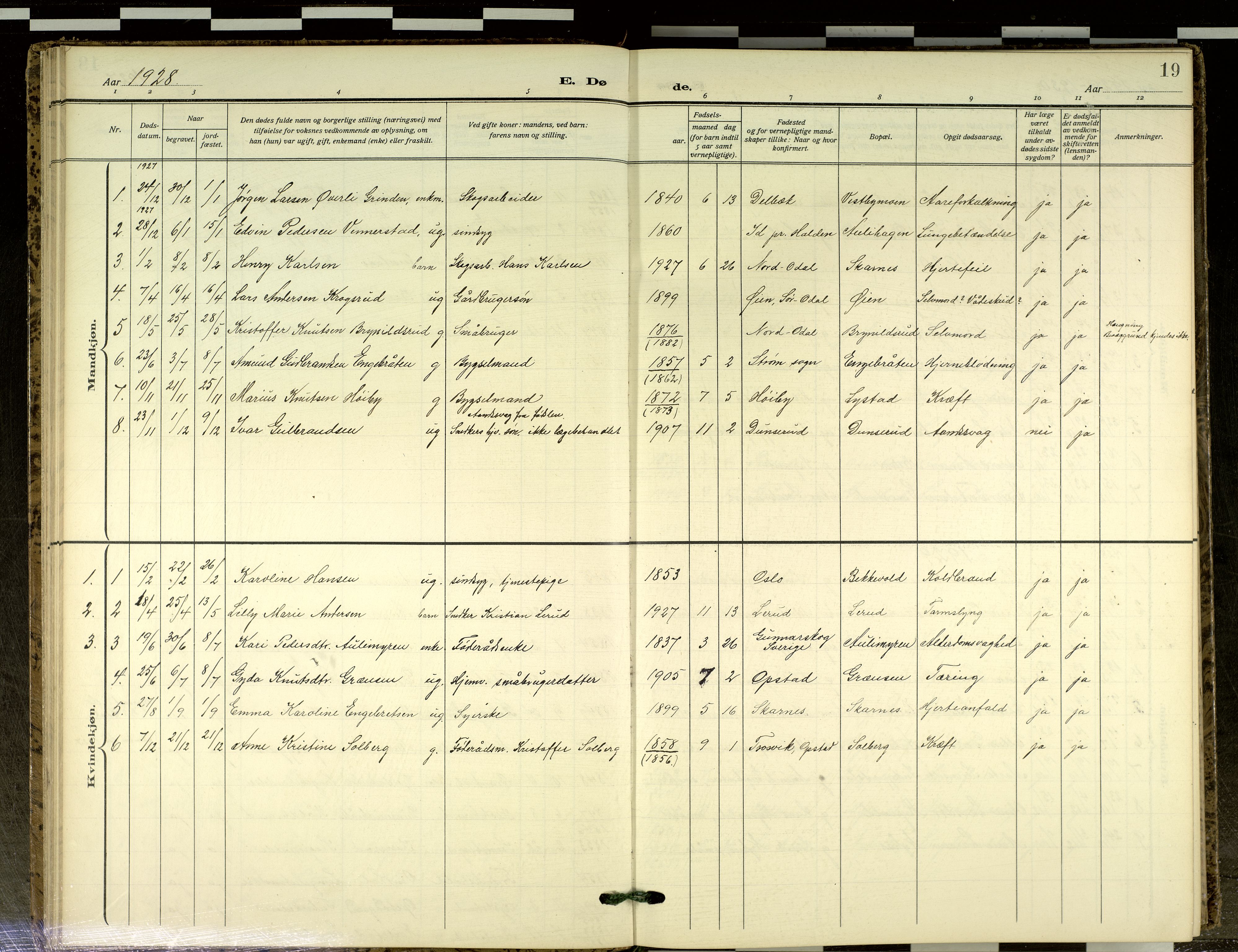 Sør-Odal prestekontor, SAH/PREST-030/H/Ha/Haa/L0021: Ministerialbok nr. 21, 1909-2012, s. 19