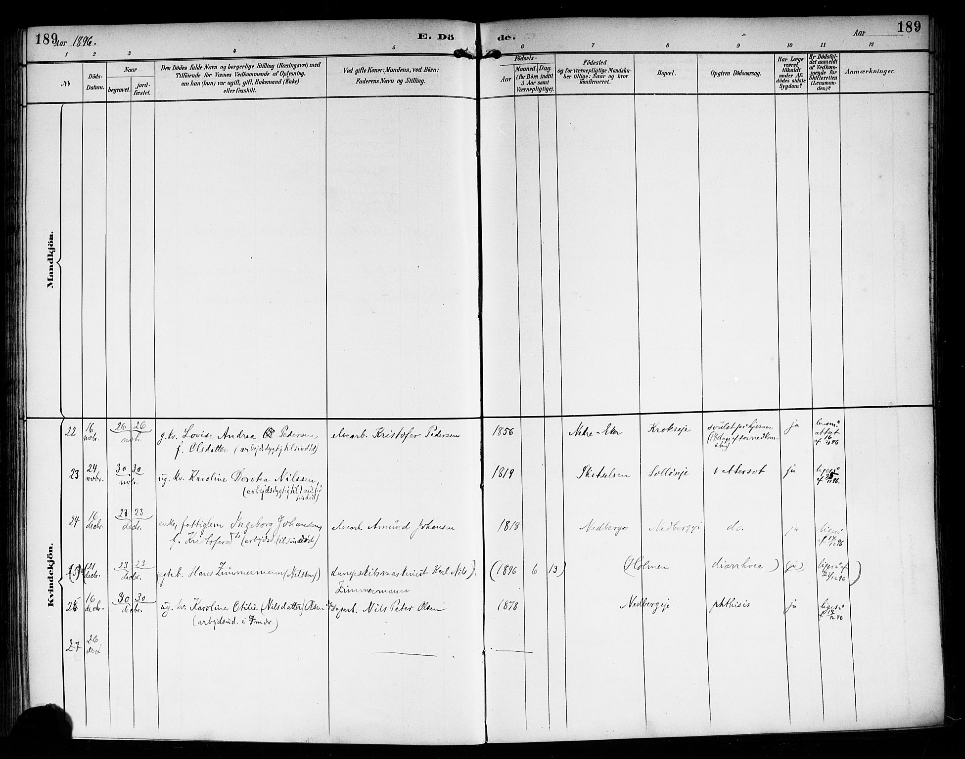 Nedre Eiker kirkebøker, AV/SAKO-A-612/F/Fa/L0004: Ministerialbok nr. 4, 1893-1898, s. 189